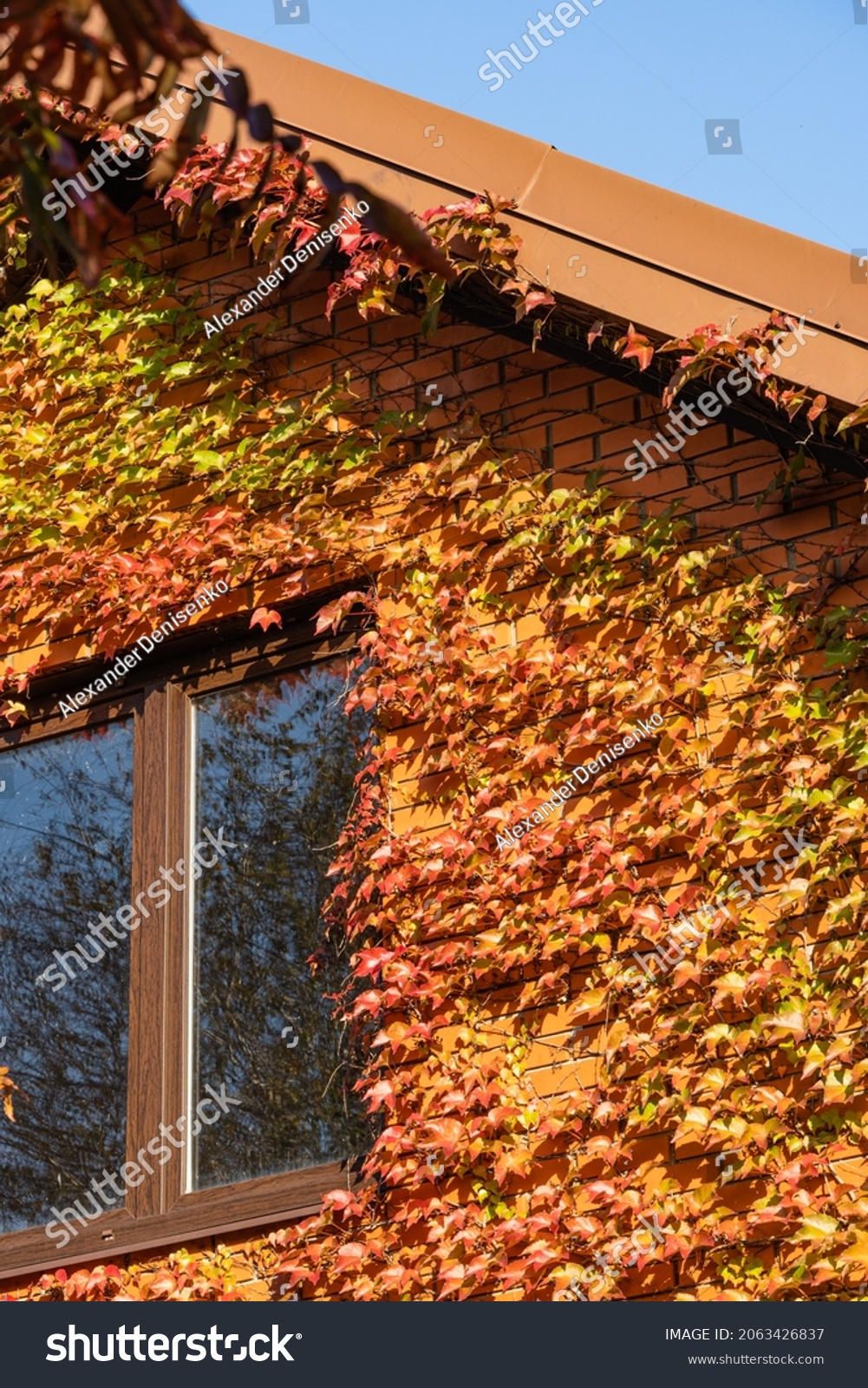 Story-ivy Images, Stock Photos & Vectors | Shutterstock