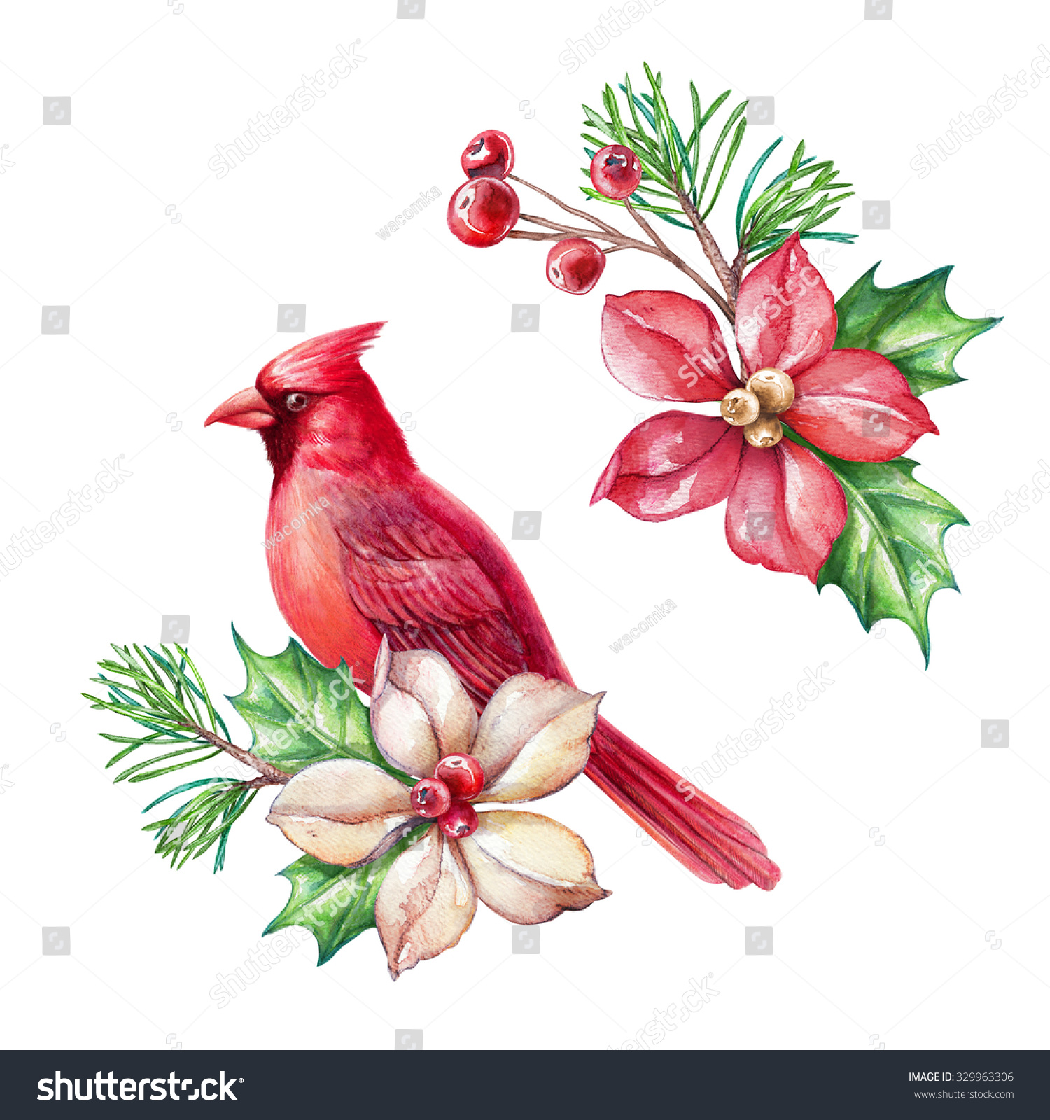 Red Bird Poinsettia Flower Christmas Holiday Stock 