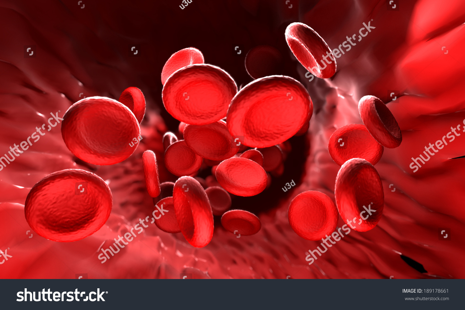 Red Blood Cells Blood Elements Red Stock Illustration 189178661 ...