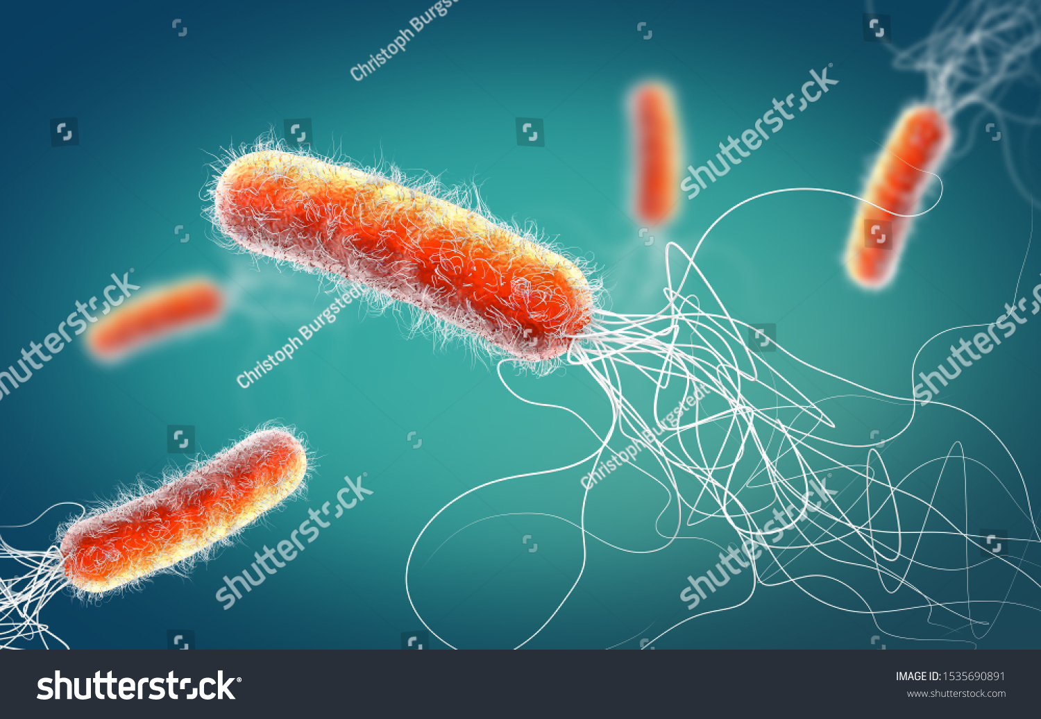 812 Pseudomonas aeruginosa Images, Stock Photos & Vectors Shutterstock