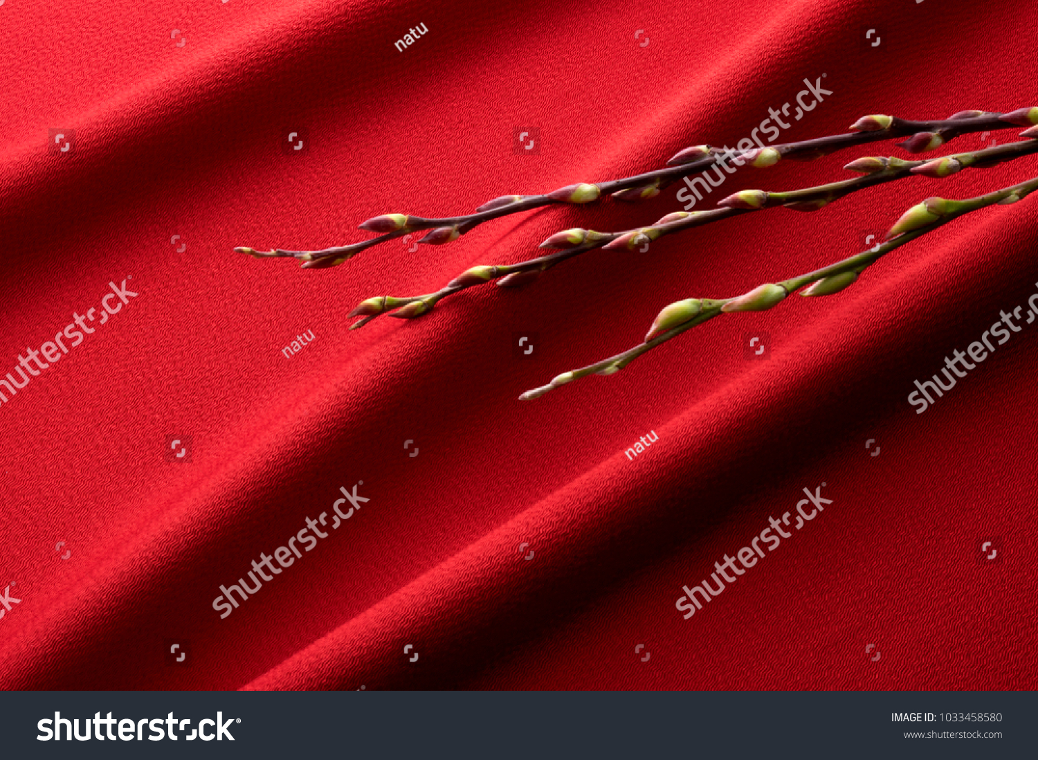 Sore Throat After Flu Shot Japanese Pussy Willow