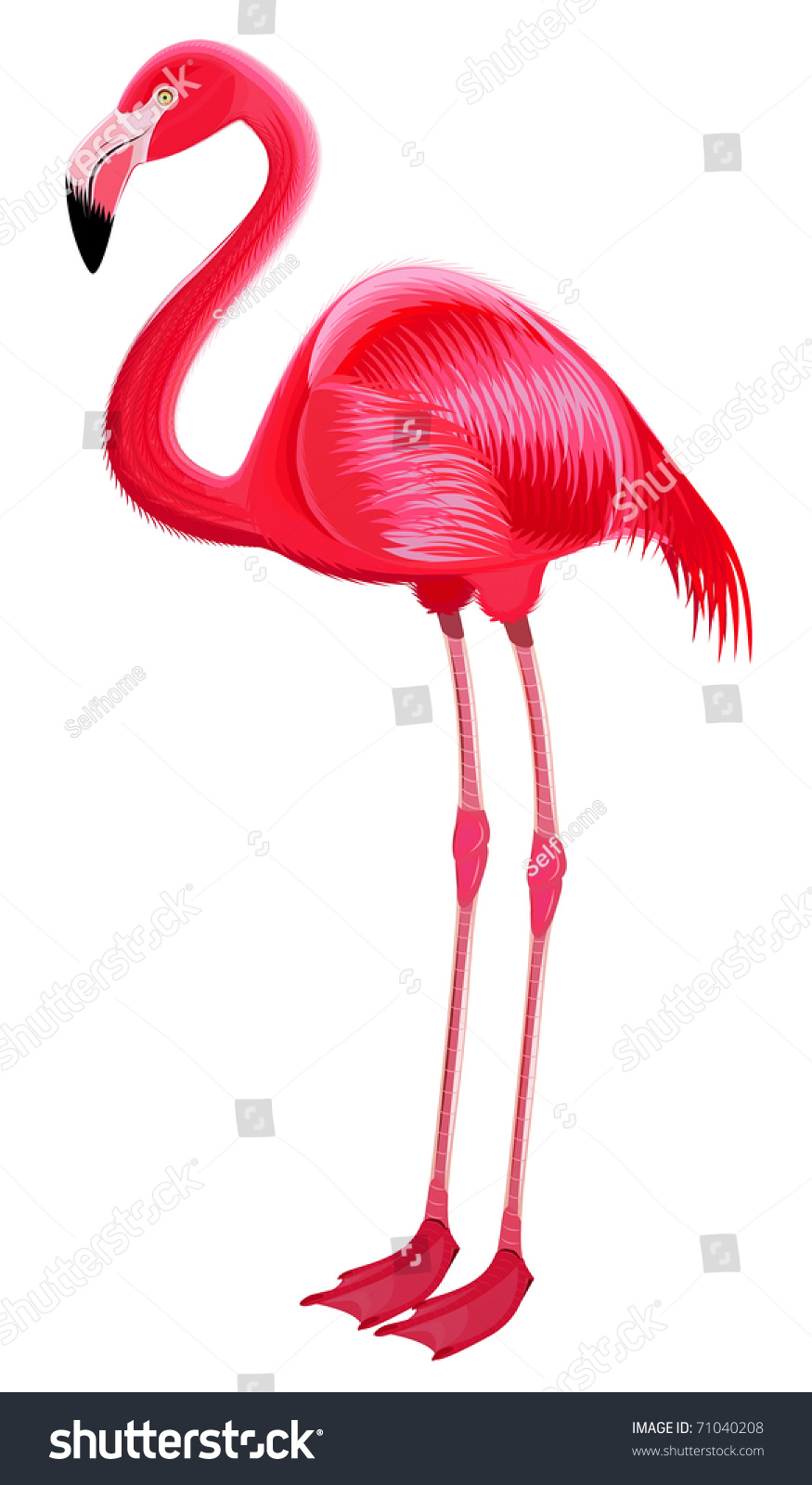 flamingo dating site Quality filipina online dating site - meet sincere, marriage-minded ladies from asia connect with filipino women, fall in love & date a christian asian woman. flamingo dating site Quality filipina online dating site - meet sincere, marriage-minded ladies from asia connect with filipino women, fall in love & date a christian asian woman.
