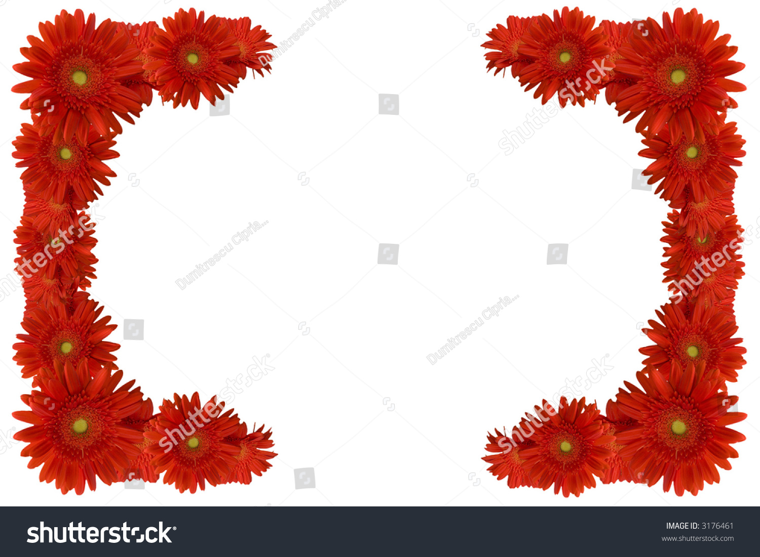 Red Floral Background Red Flower Border Stock Photo 3176461 - Shutterstock