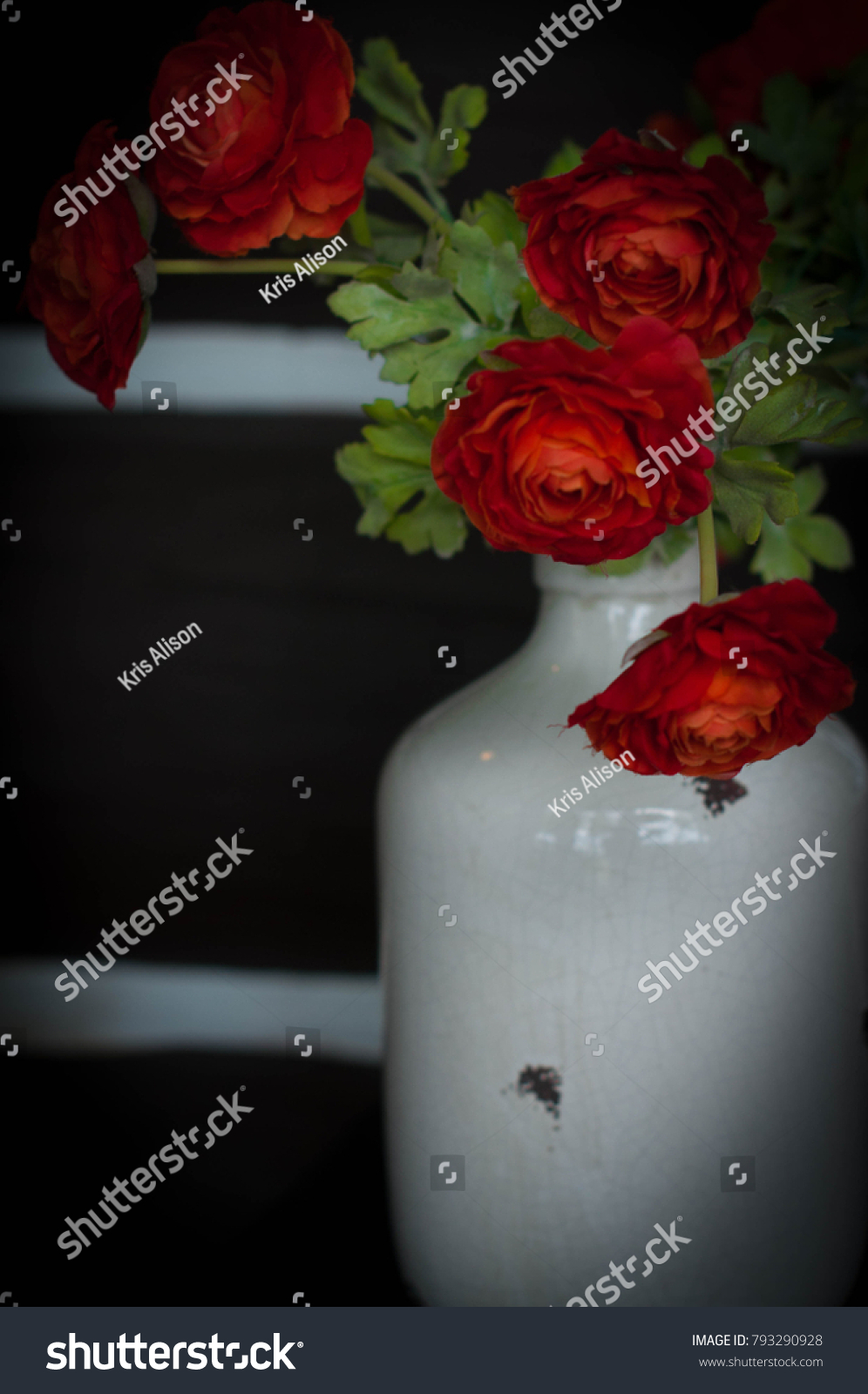 Red Flowers Vintage Vase Log Cabin Stock Photo Edit Now 793290928