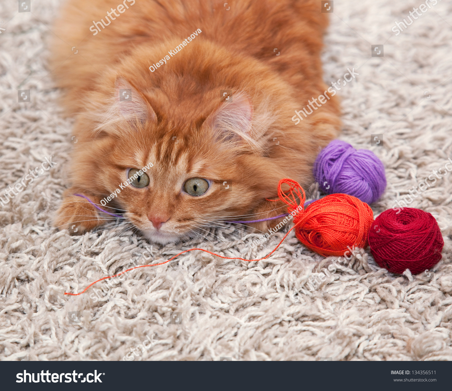 fluffy cat balls