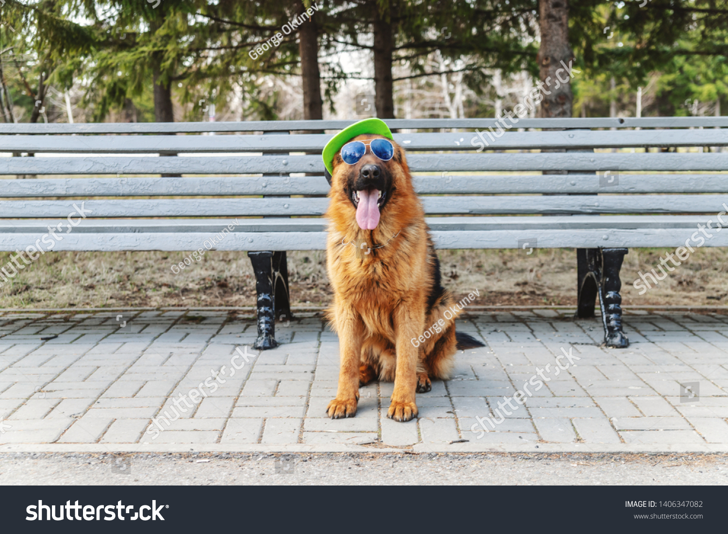 german shepherd baseball caps