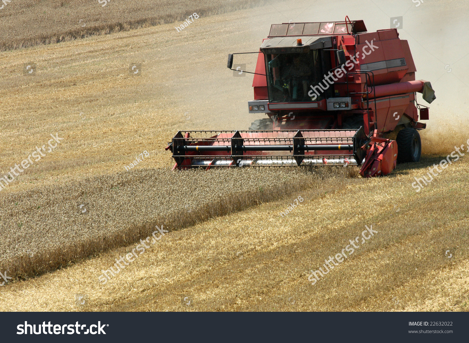 Red Harvester Stock Photo 22632022 : Shutterstock