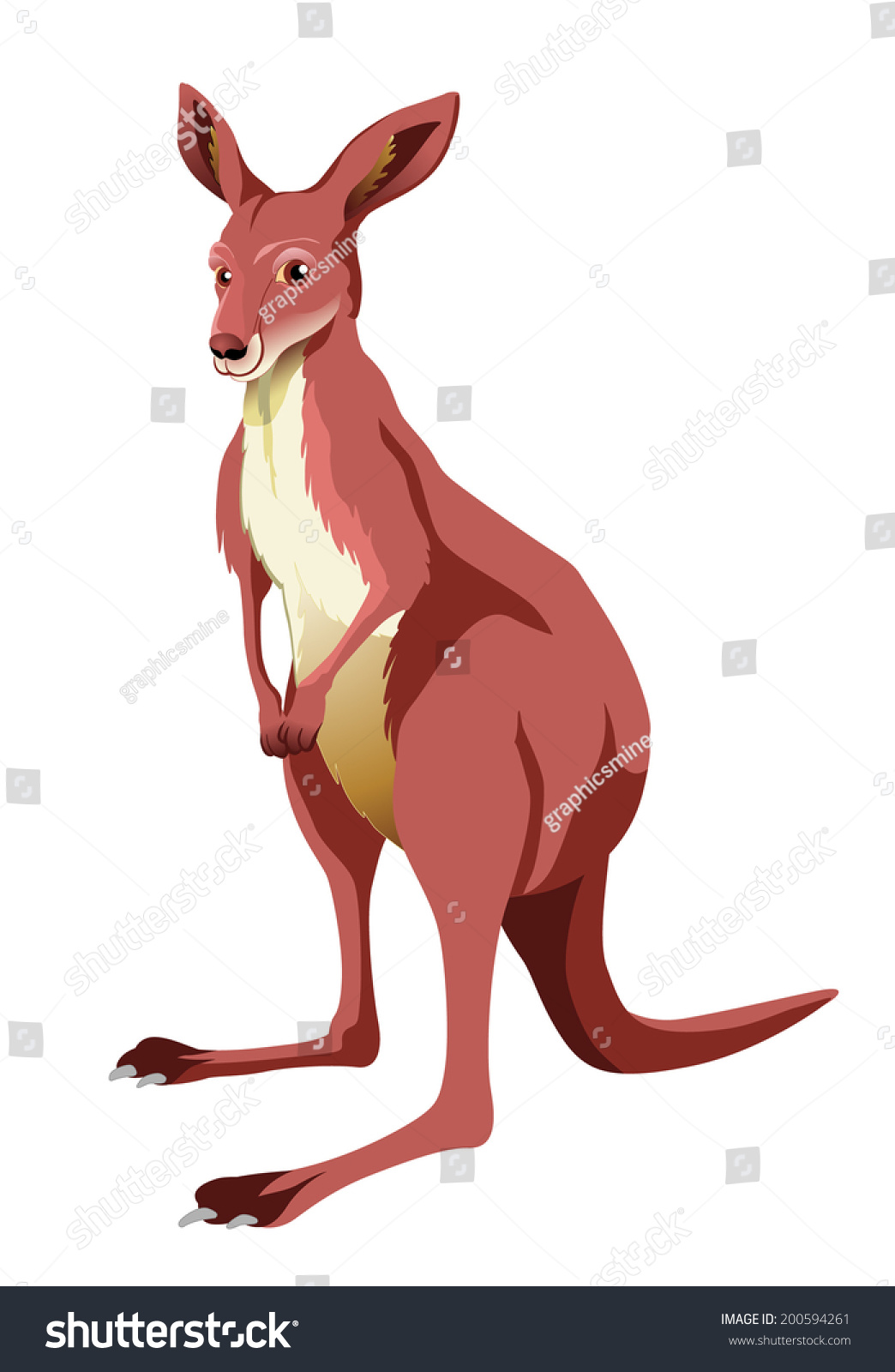 Red Kangaroo Stock Illustration 200594261 - Shutterstock