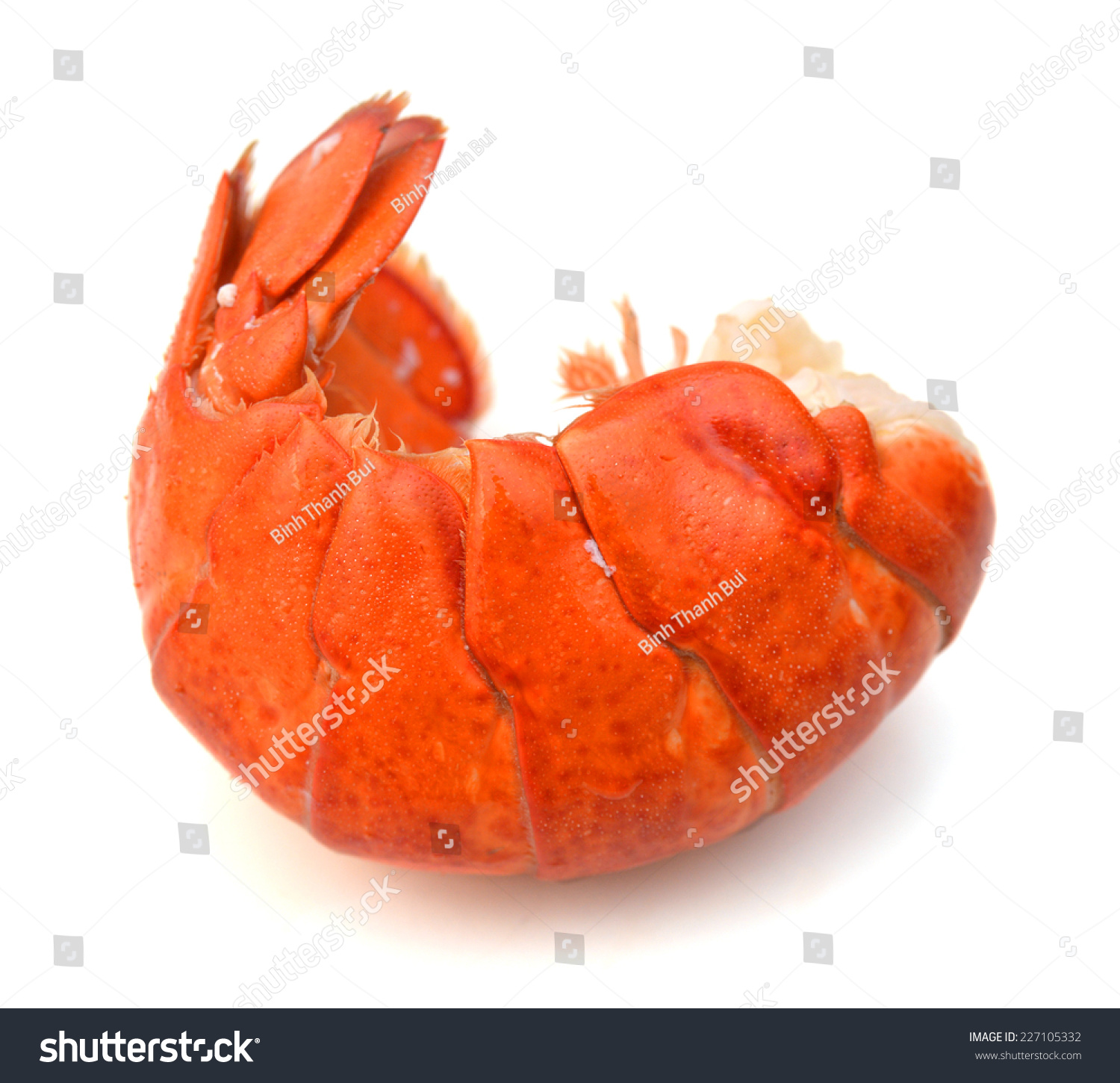 Red Lobster Tail Stock Photo 227105332 Shutterstock