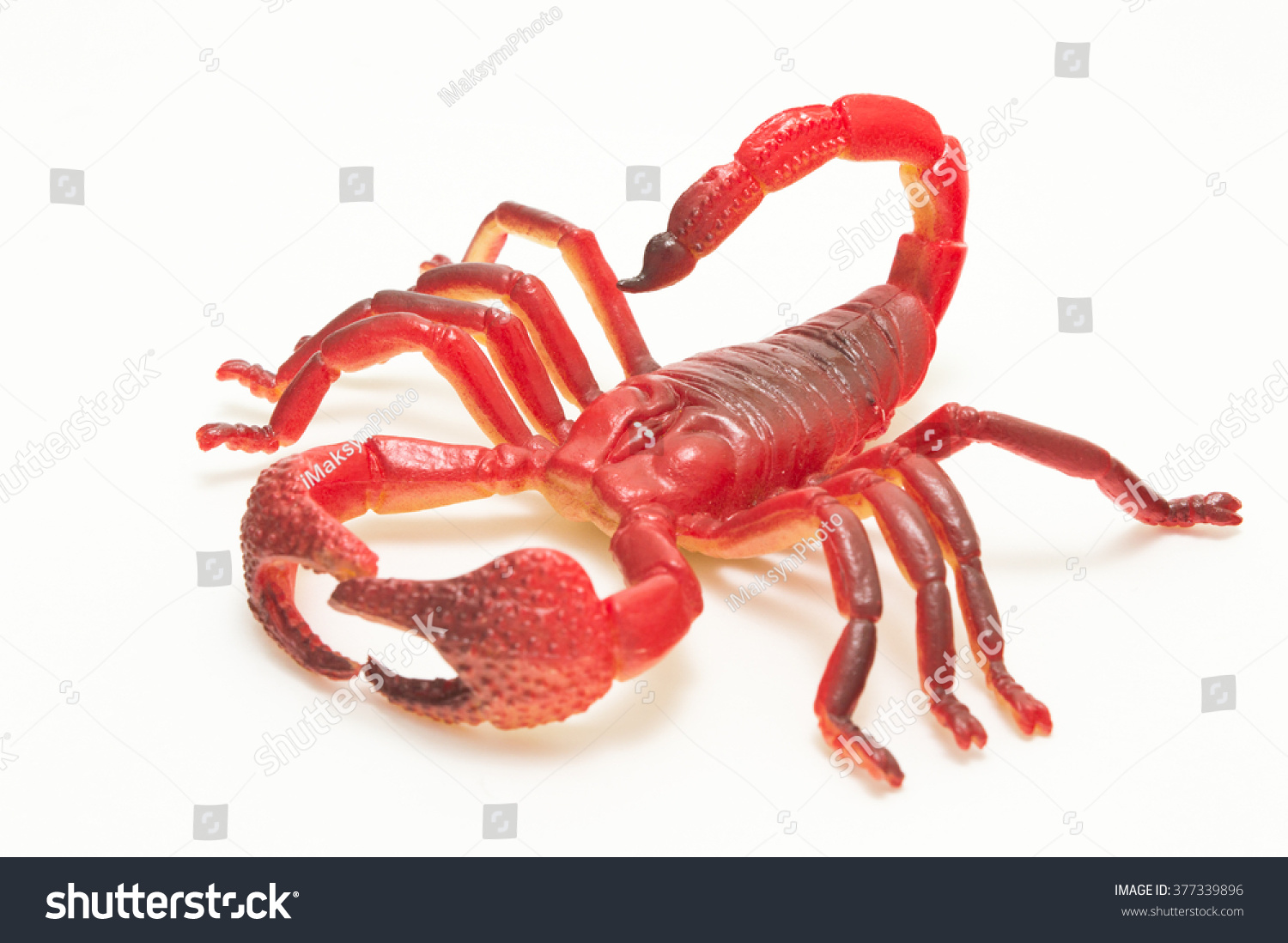 Red Plastic Scorpion Toy On White Stock Photo 377339896 | Shutterstock