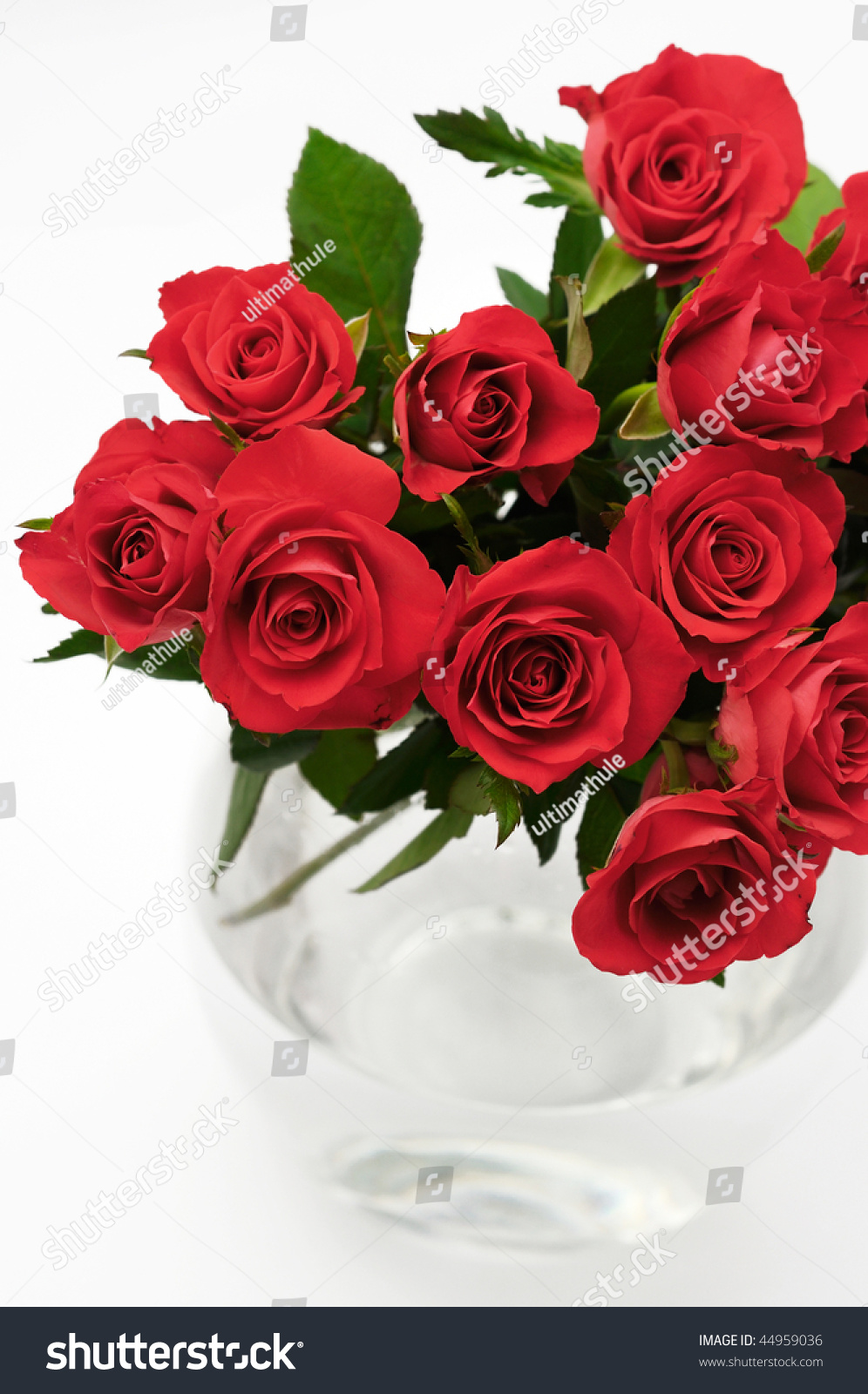 Red Rose Bouquet In Vase Stock Photo 44959036 : Shutterstock