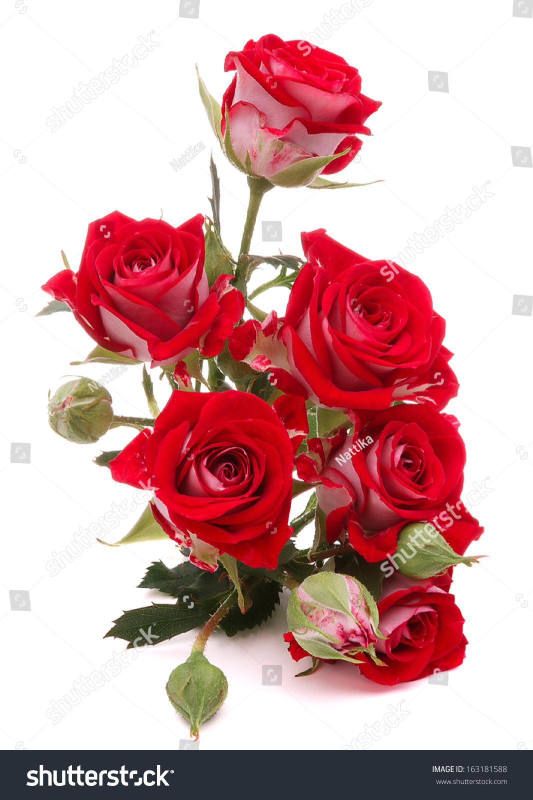 Red Rose Flower Bouquet Isolated On Stock Photo 163181588 - Shutterstock