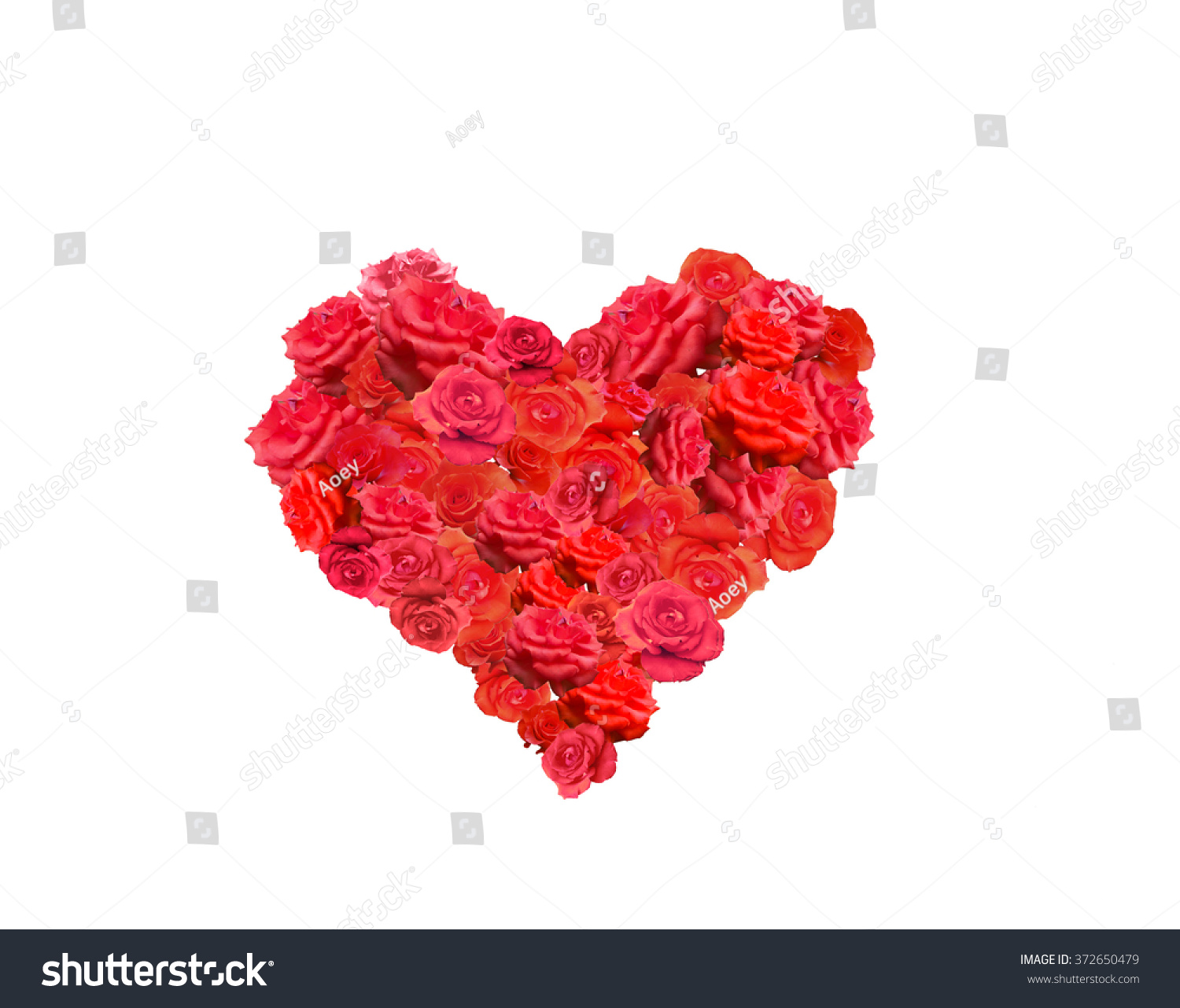 Red Roses Shaped In The Form Of Heart. Many White Roses As A Floral ...