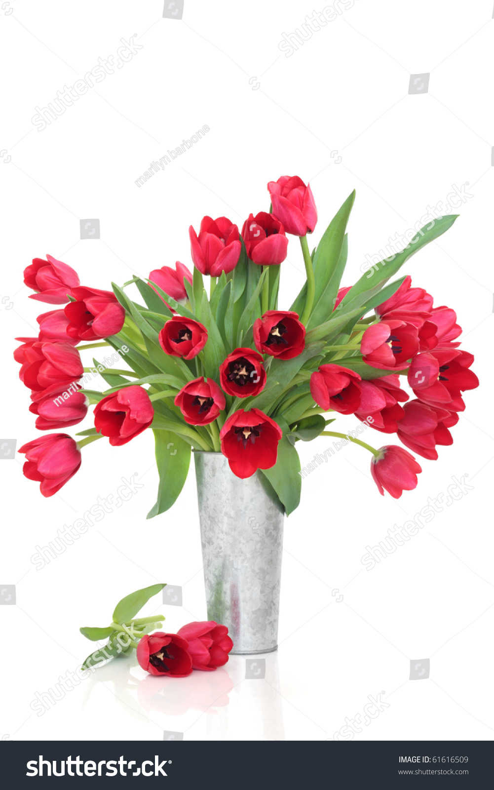 Red Tulip Flower Arrangement Distressed Aluminum Stock Photo 61616509  Shutterstock