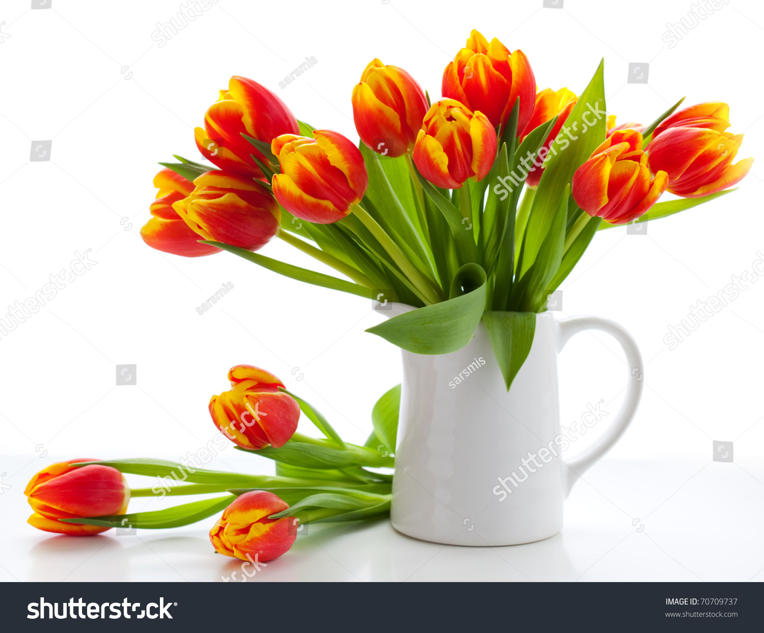 Red Tulips Jug On White Background Stock Photo 70709737 - Shutterstock