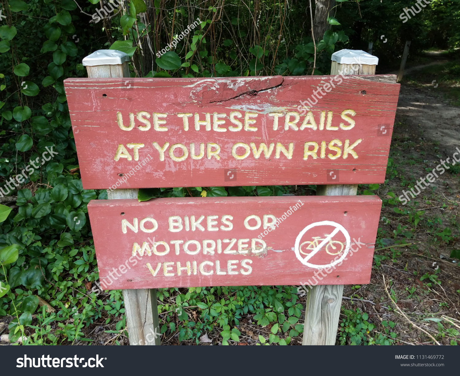 motorized trail bikes