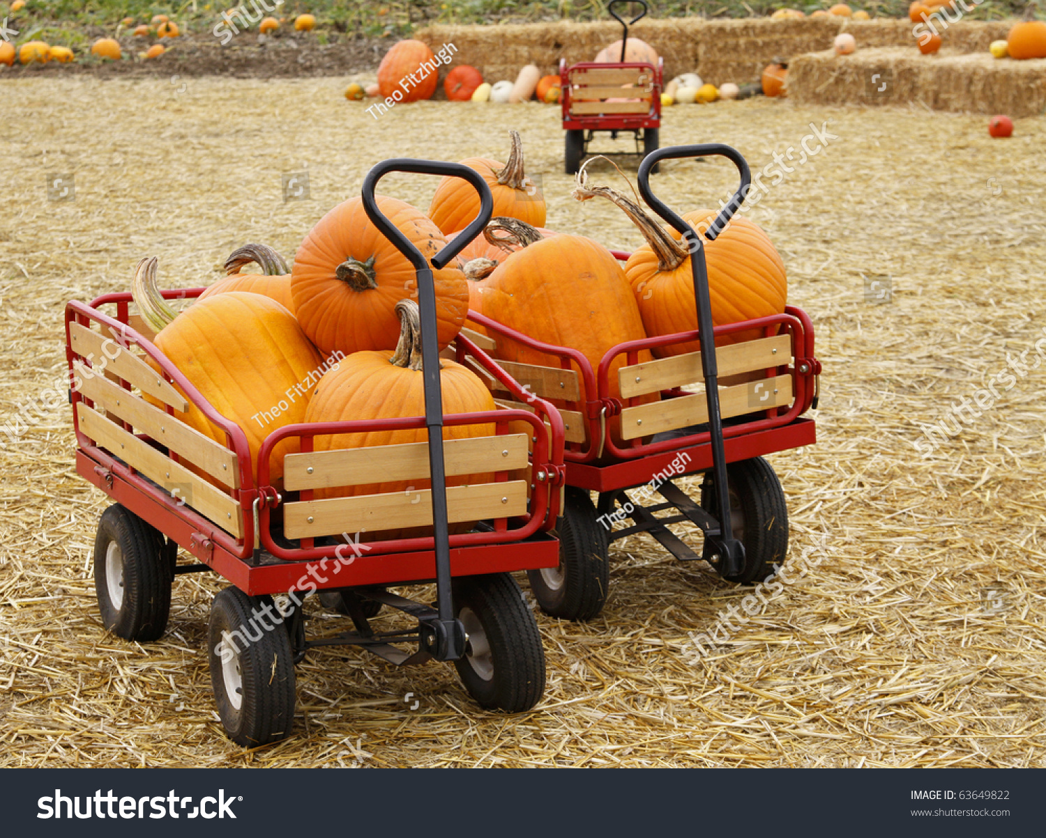 Red Wagon Full Pumpkins Stock Photo 63649822 | Shutterstock