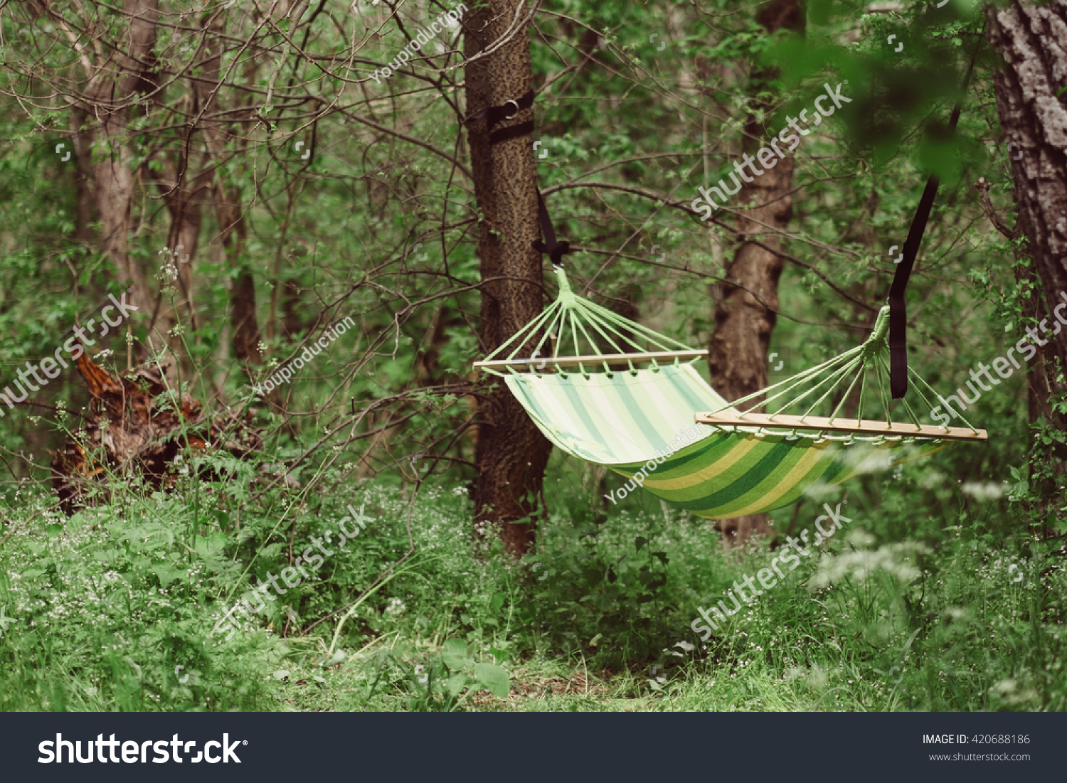 Relaxing Lazy Time Hammock Green Forest Stock Photo (Edit Now 