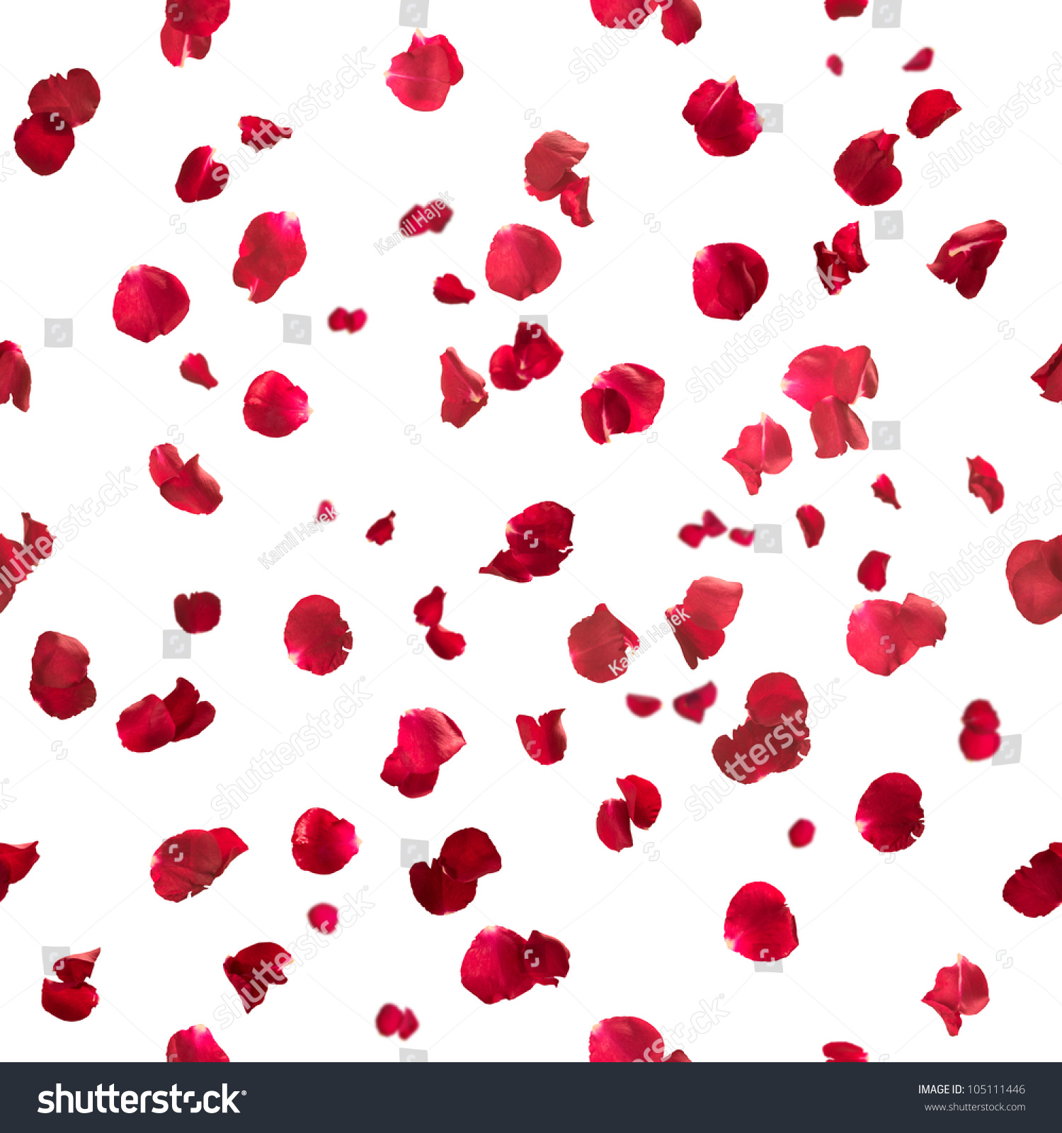 197,385 Petal rain Images, Stock Photos & Vectors | Shutterstock