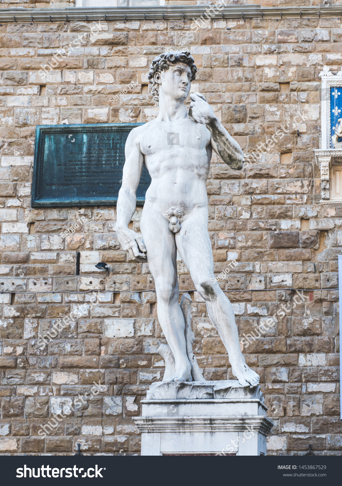12.5 Inch Cold Cast Resin Renaissance Statue of Michelangelo/'s David