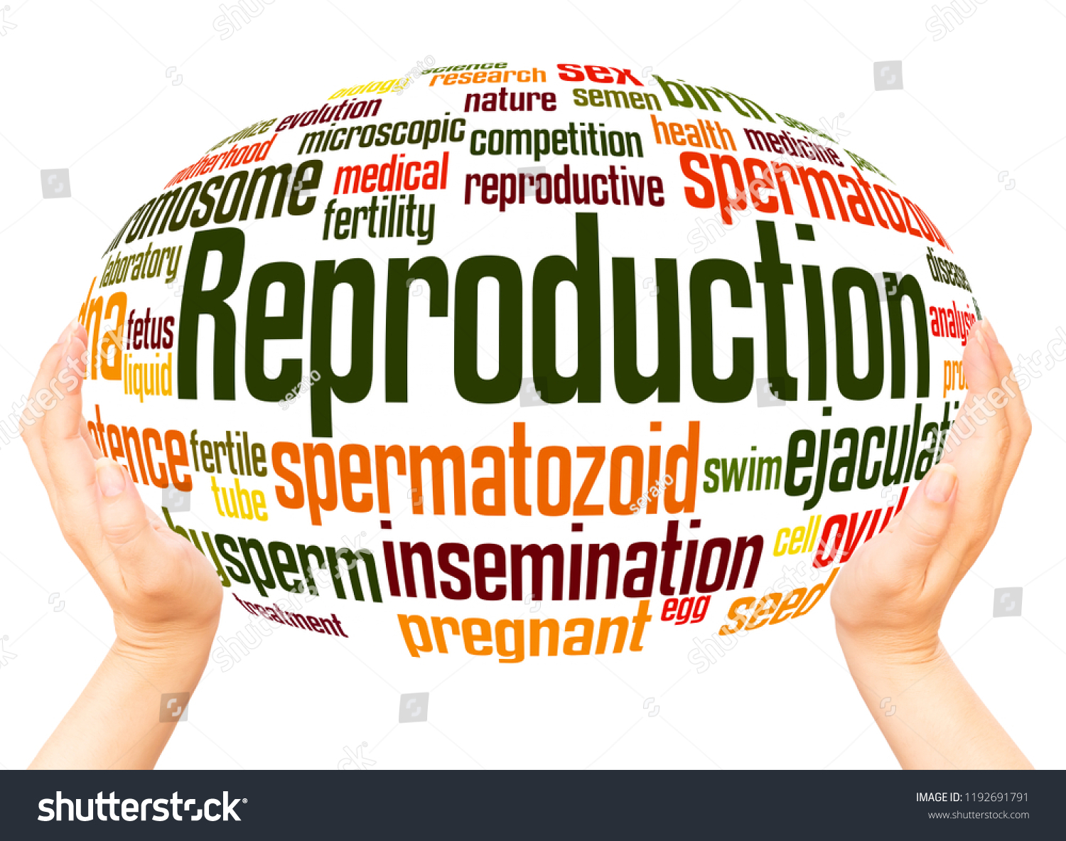 reproduction-word-cloud-hand-sphere-concept-stock-photo-1192691791