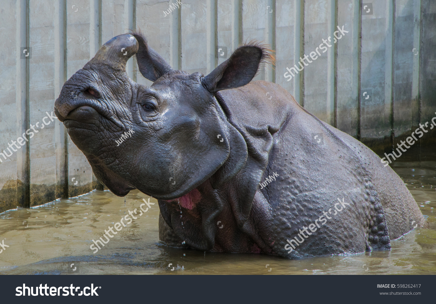 Water rhino Modelling water