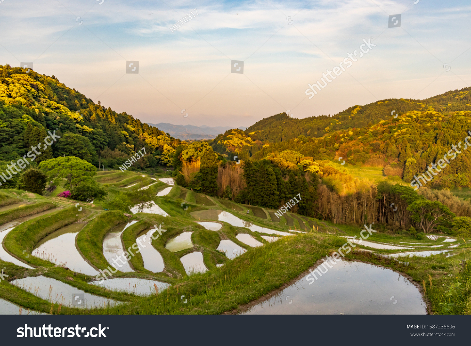 Rice Terraces Called Kamogawa City Chiba Stock Photo Edit Now