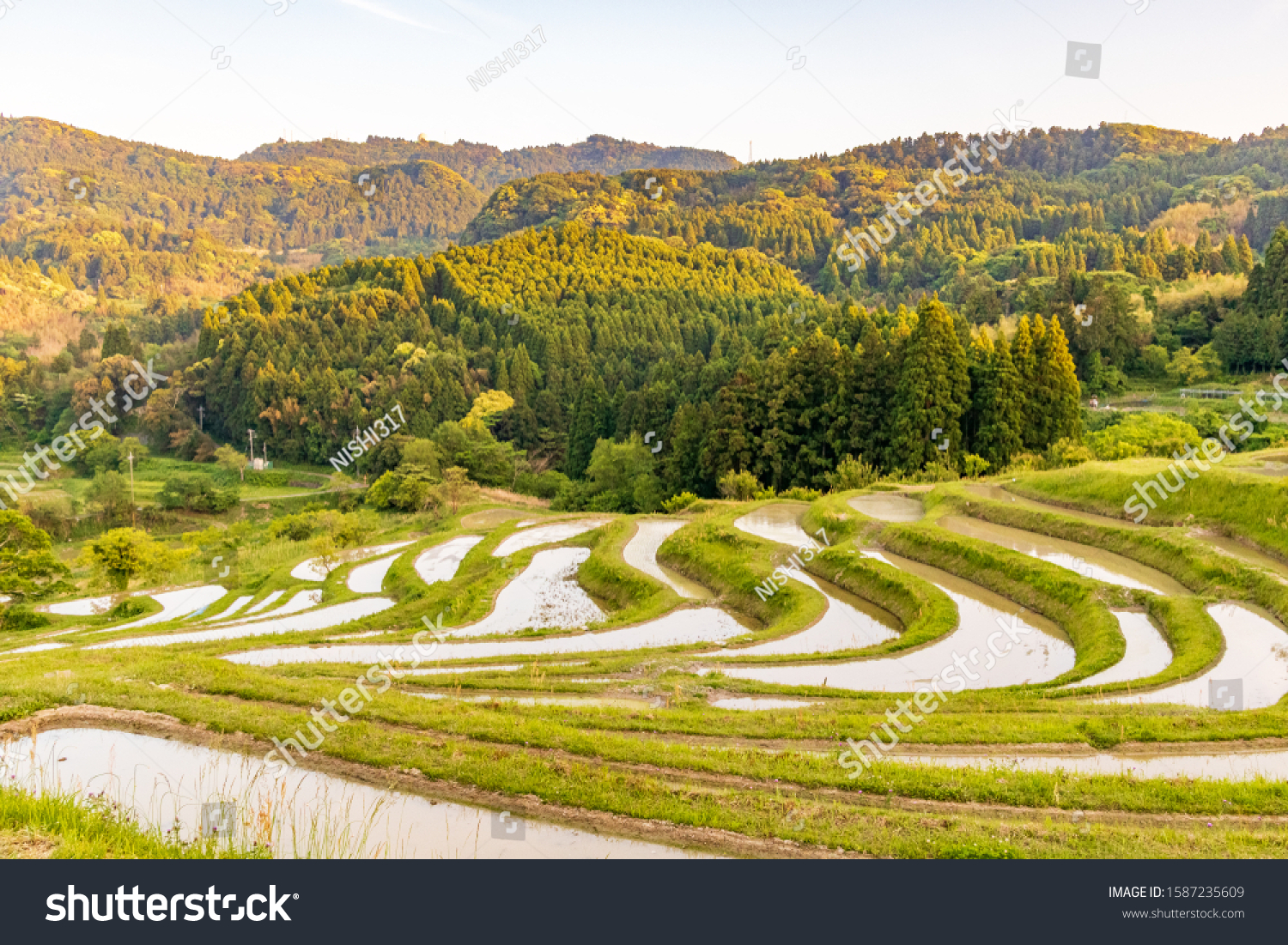 Rice Terraces Called Kamogawa City Chiba Stock Photo Edit Now