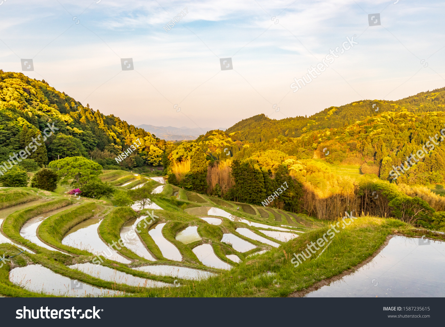 Rice Terraces Called Kamogawa City Chiba Stock Photo Edit Now