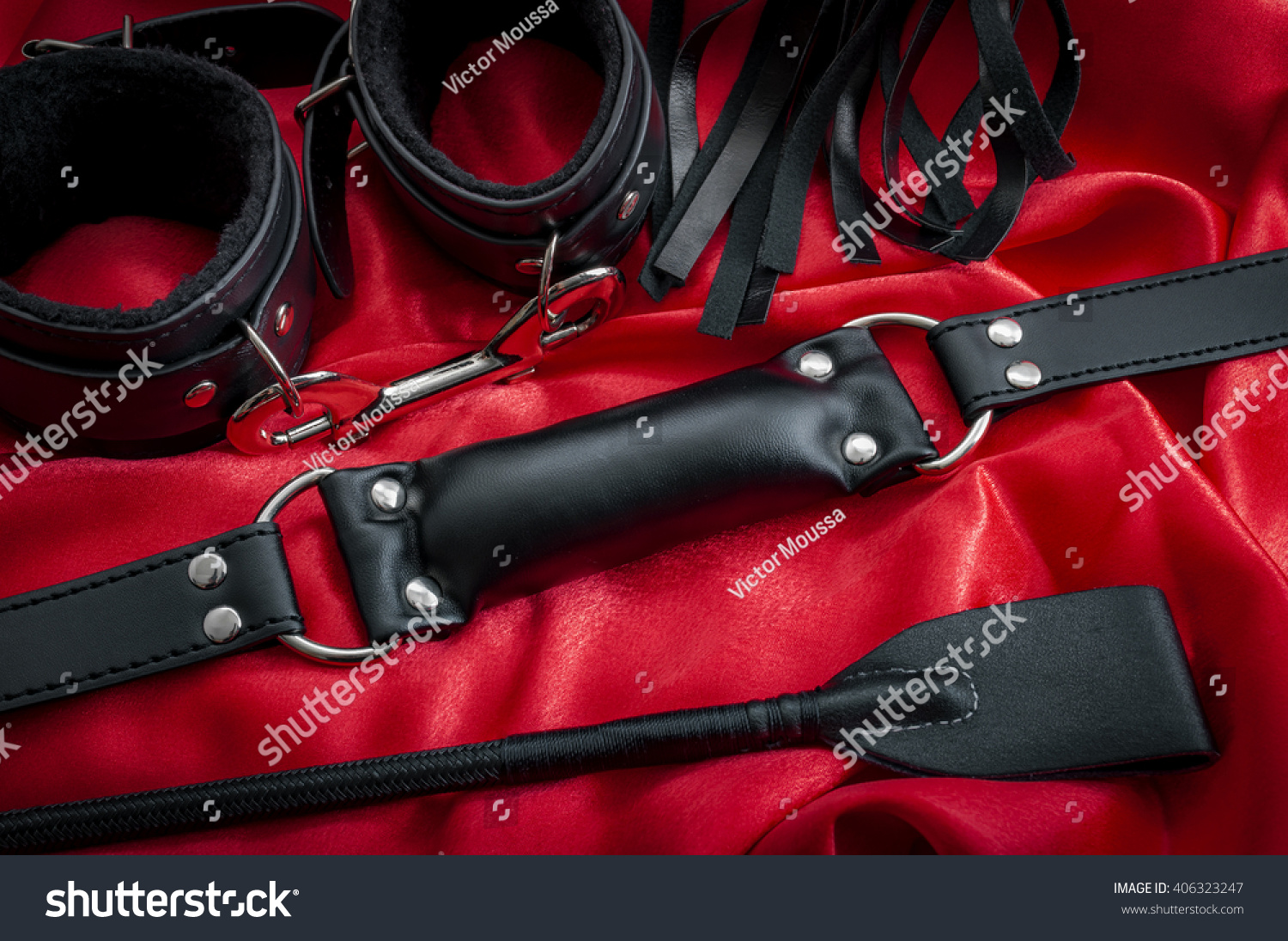 Harness Gag Riding Or Crop Or Whip 15