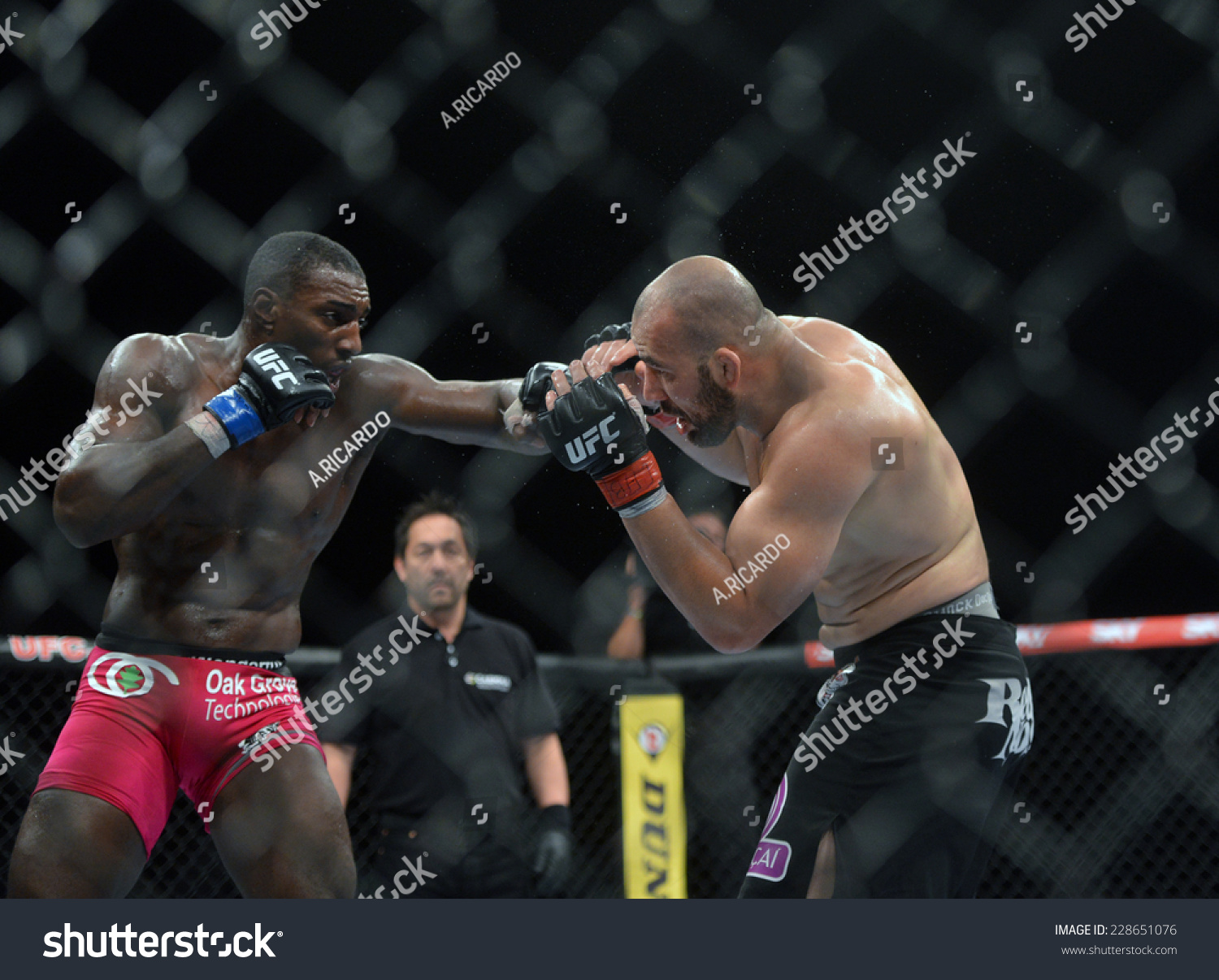 8 Glover teixeira Images, Stock Photos & Vectors | Shutterstock