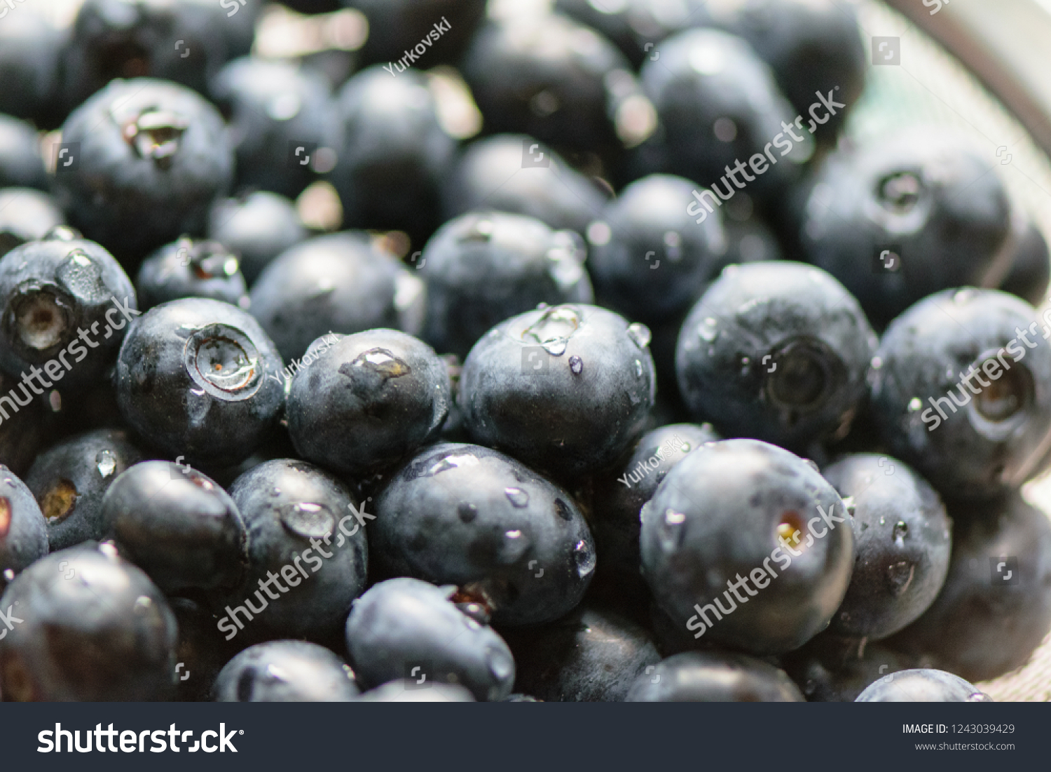 Ripe blueberry background