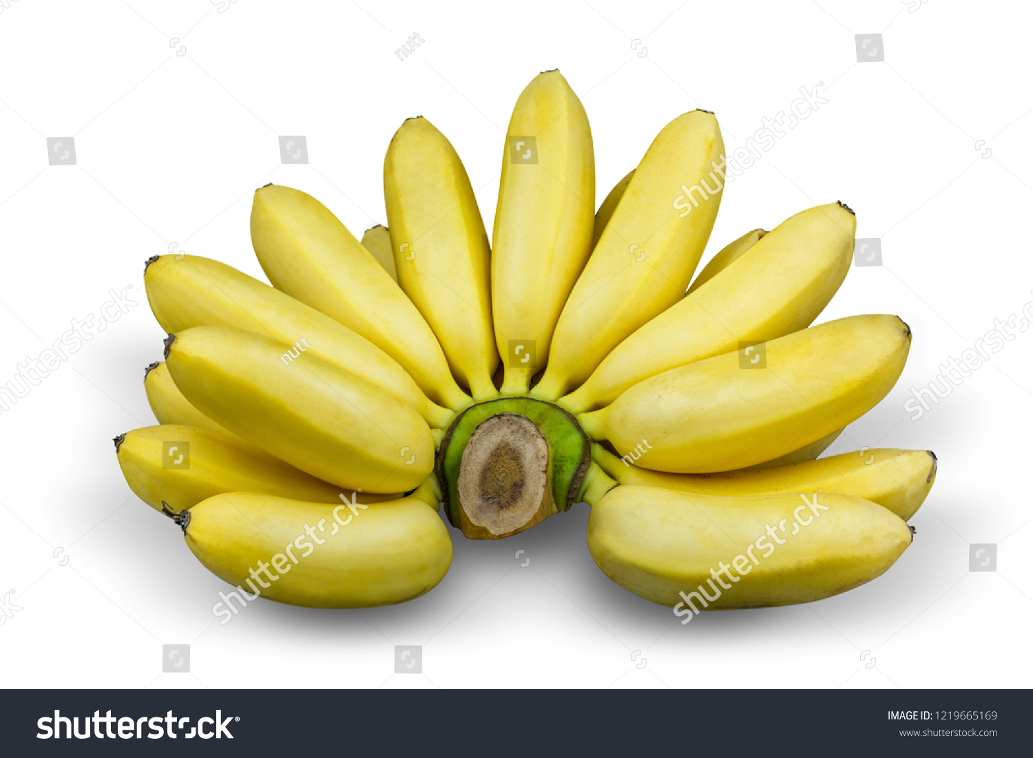 Lady finger banana