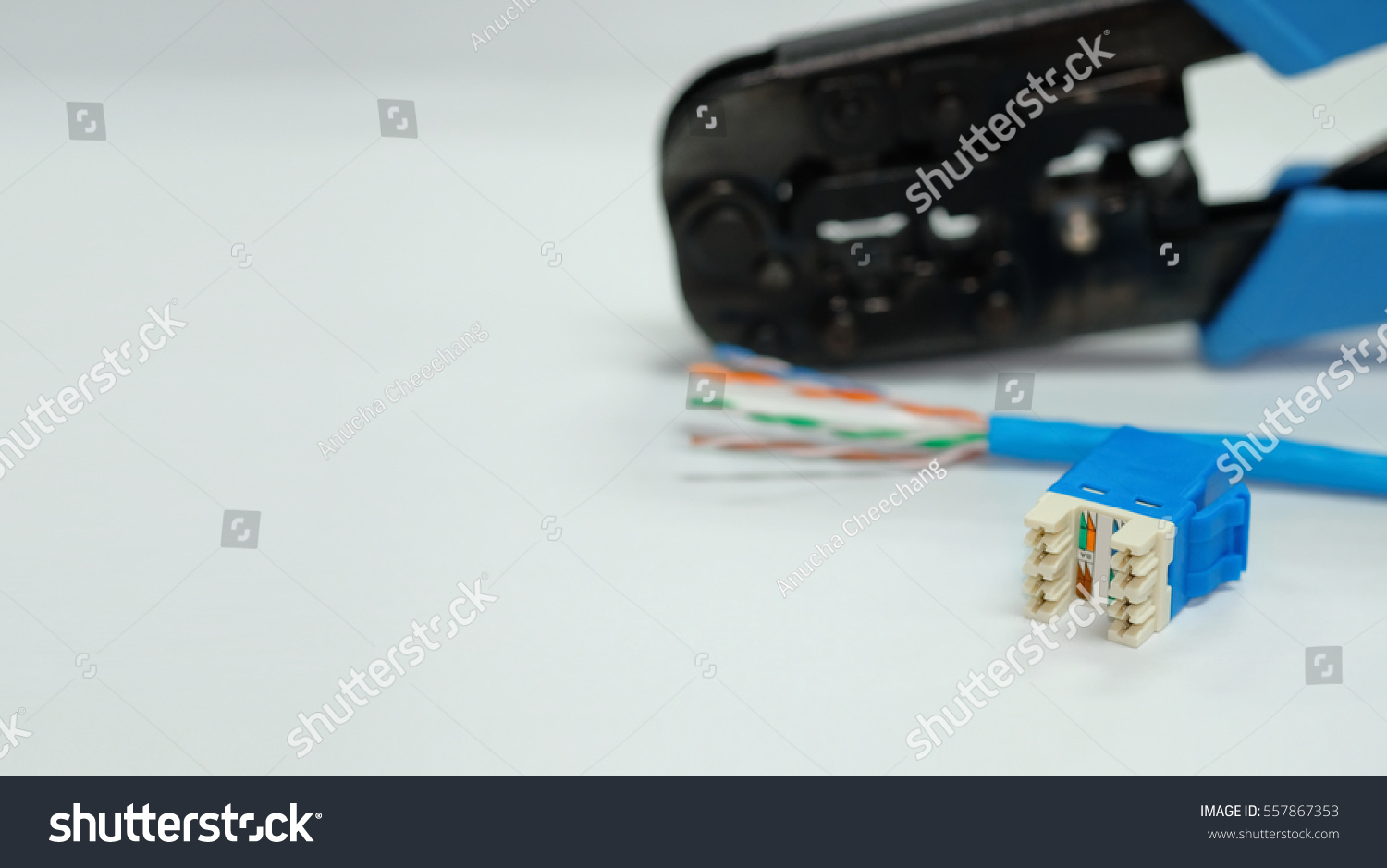 Rj45 Female Connector Blur Tool Device Stock Photo 557867353