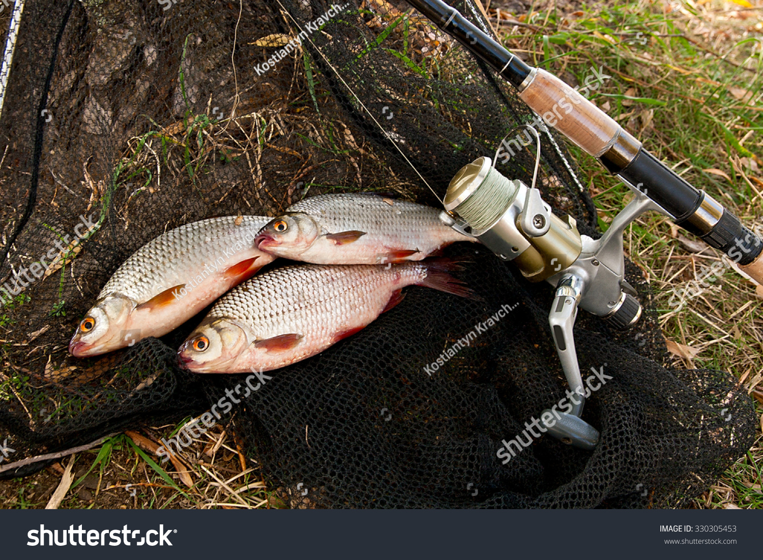 bream feeder rod