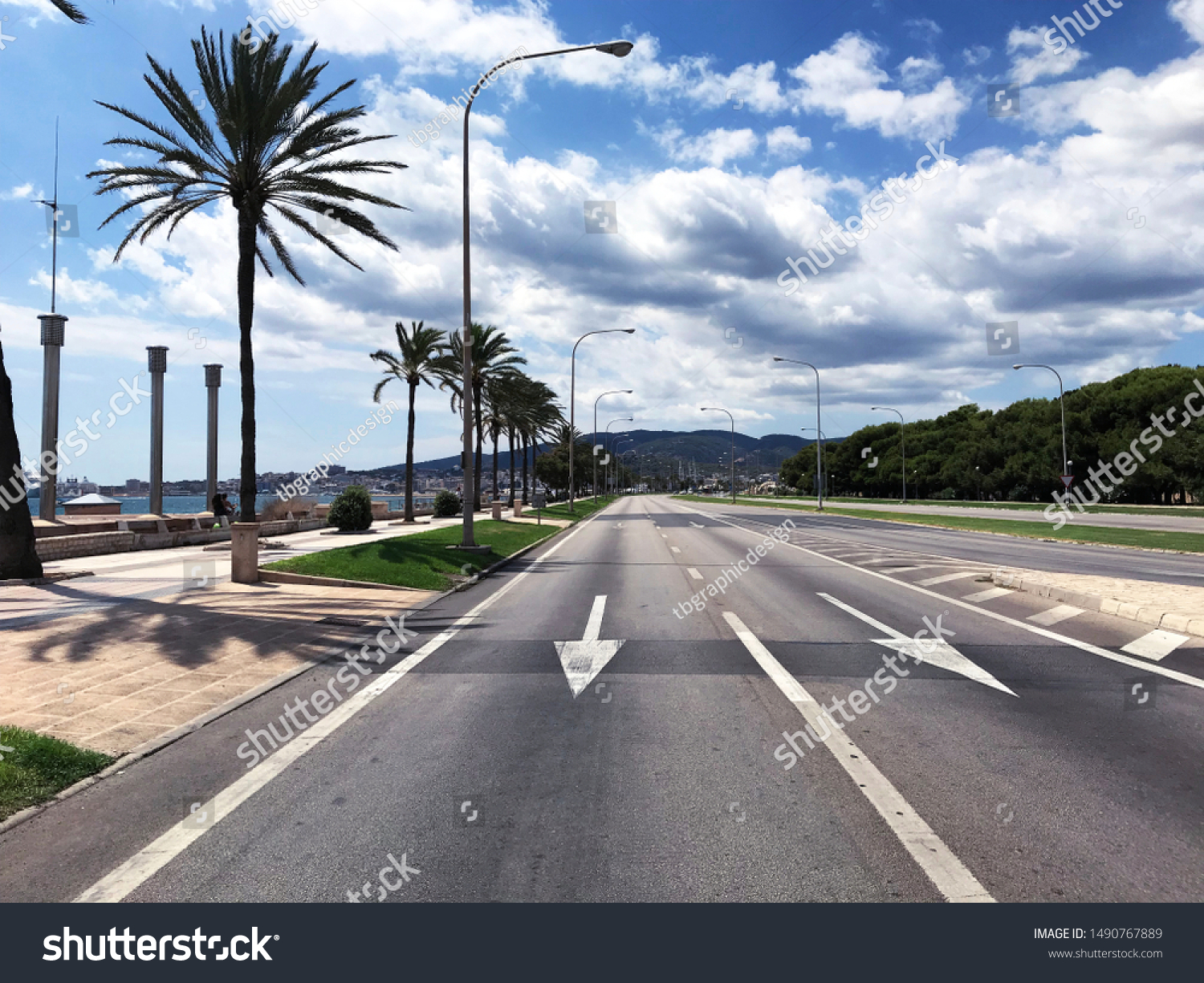 Road Palm Trees Mallorca Stock Photo Edit Now 1490767889