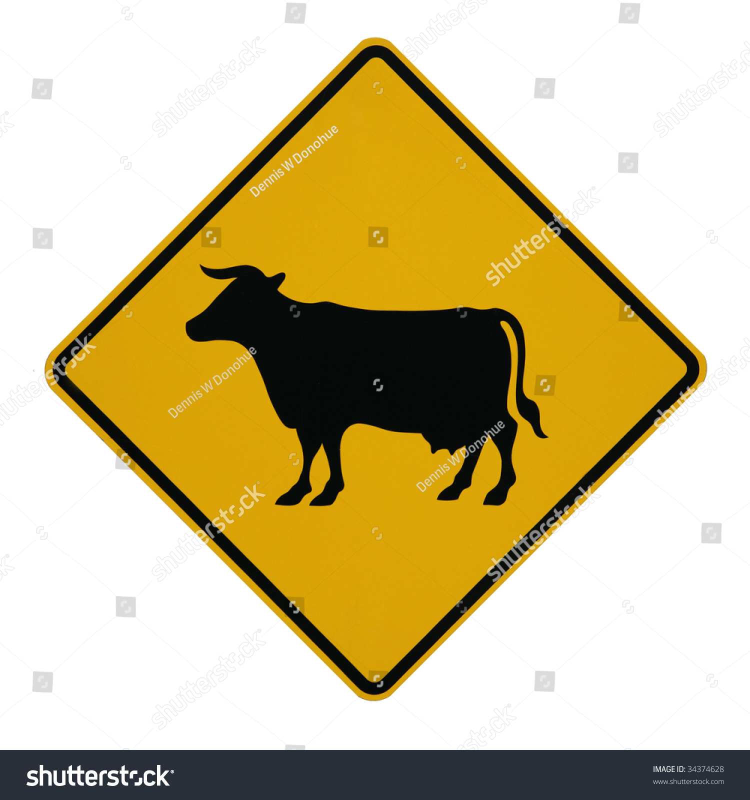 Road Sign For Cattle Crossing On White Background Stock Photo 34374628 ...