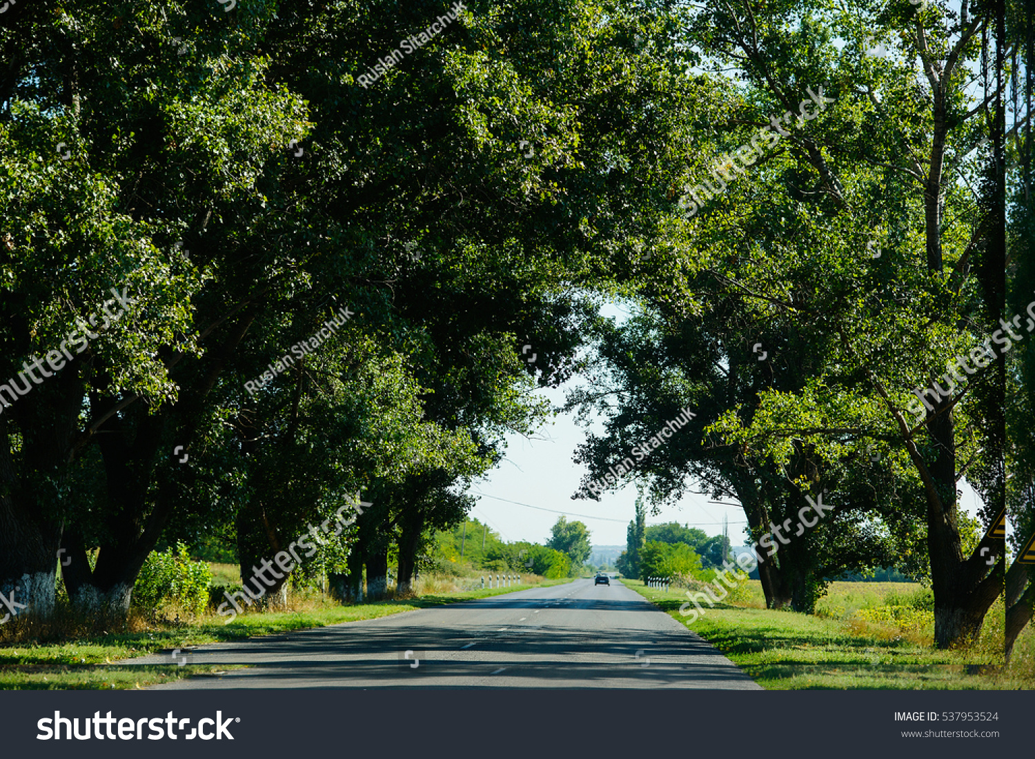 Road Trees Landscape Straight Road Under Stock Photo 537953524 ... for Straight Road With Trees
173lyp Road Trees Landscape Straight Road Under Stock Photo 537953524 ... for Straight Road With Trees
173lyp