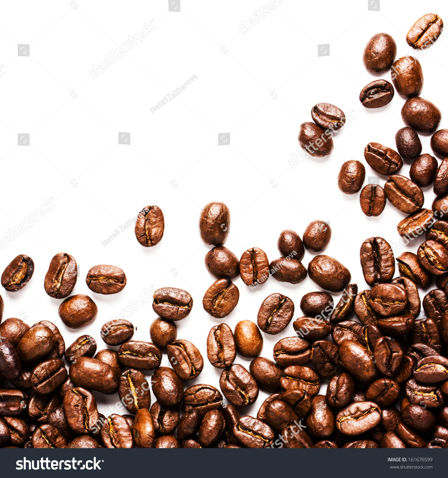 Roasted Coffee Beans Roasted Coffee Beans
