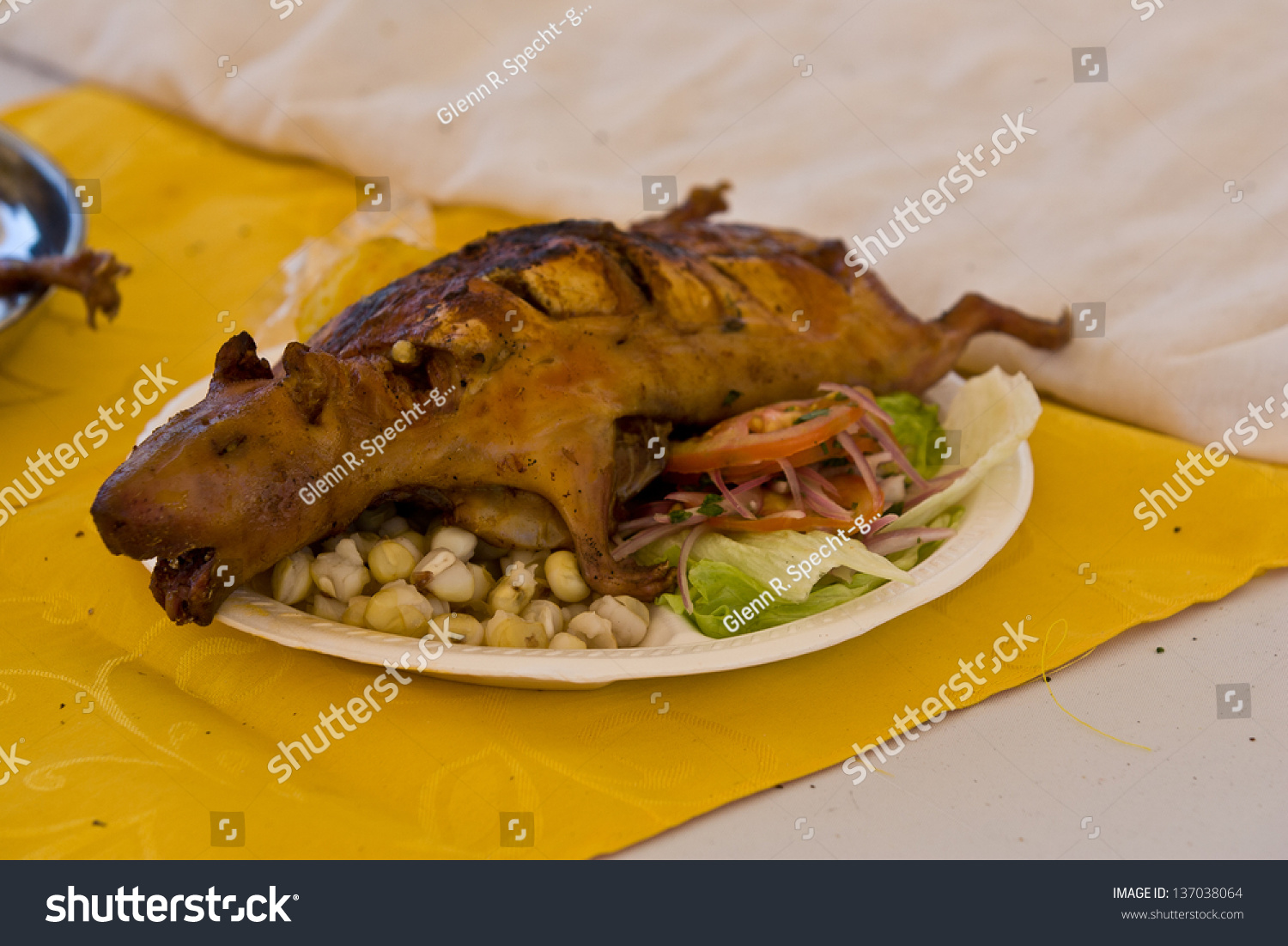 Roasted Cuy At Ecuadorian Food Festival, Guinea Pig Stock Photo ...