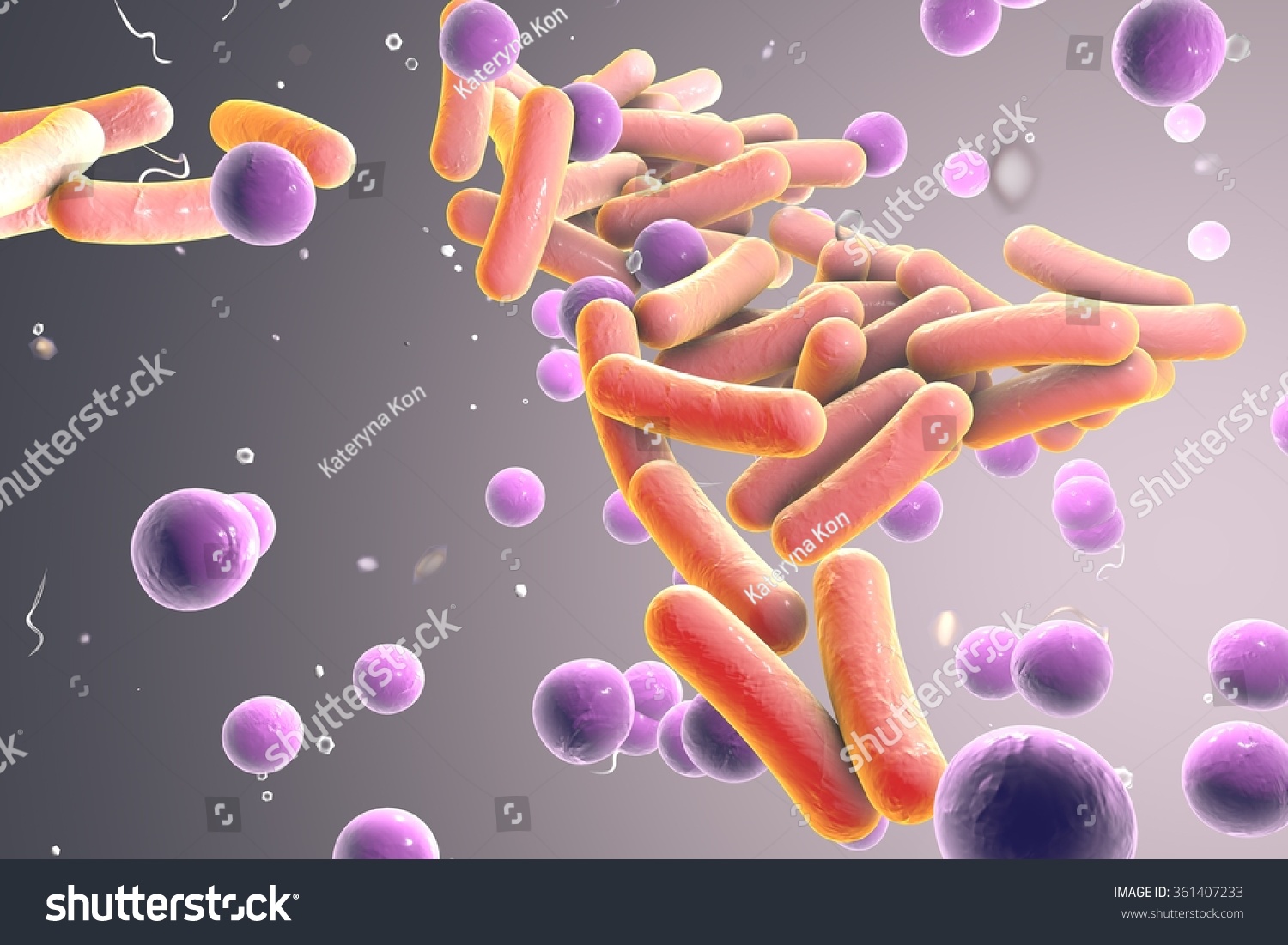 Rodshaped Spherical Bacteria Escherichia Coli Salmonella Stock ...