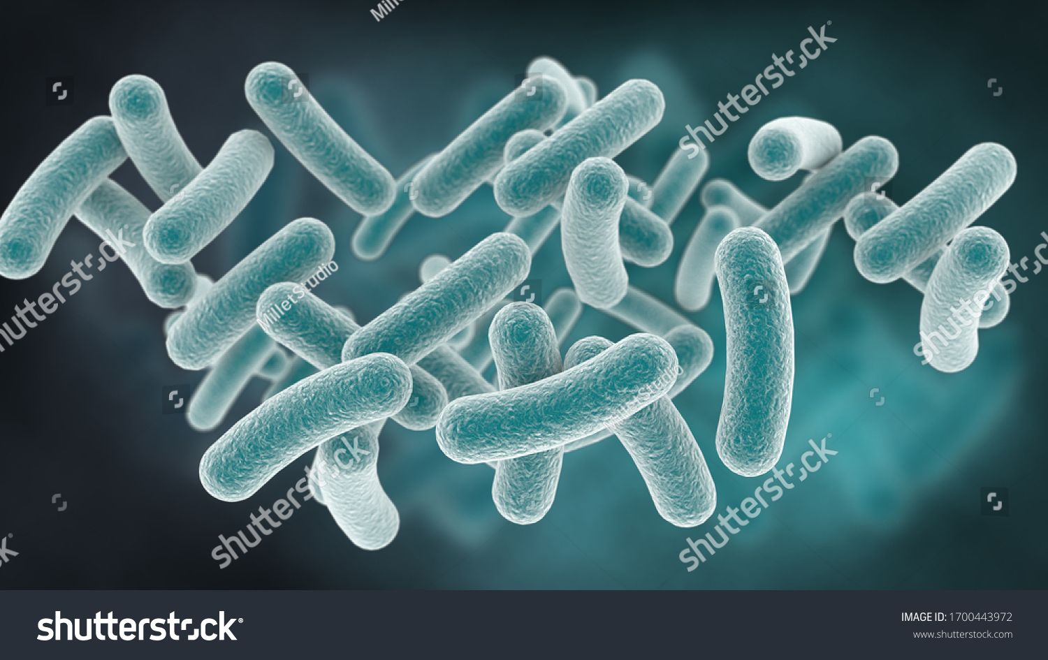 Rod Shaped Bacteria 3d Rendering Stock Illustration 1700443972 ...