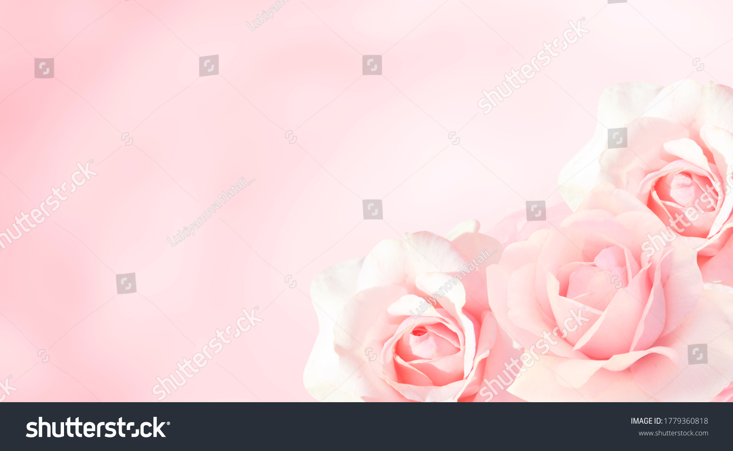  Pink Dual Curve Template Design Featuring Romantic Blurred with Three