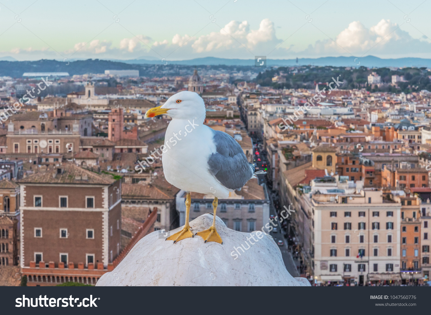 32 Via Del Campidoglio Images, Stock Photos & Vectors | Shutterstock