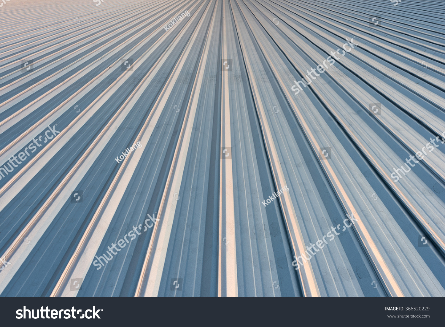 Roof Sheet Metal Corrugated Roof Factory Stock Photo (Edit Now) 366520229