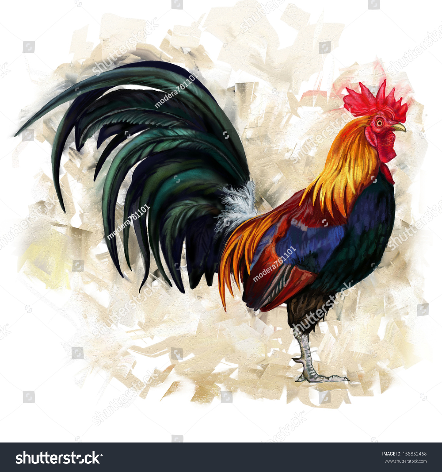 Roosters Cock 88