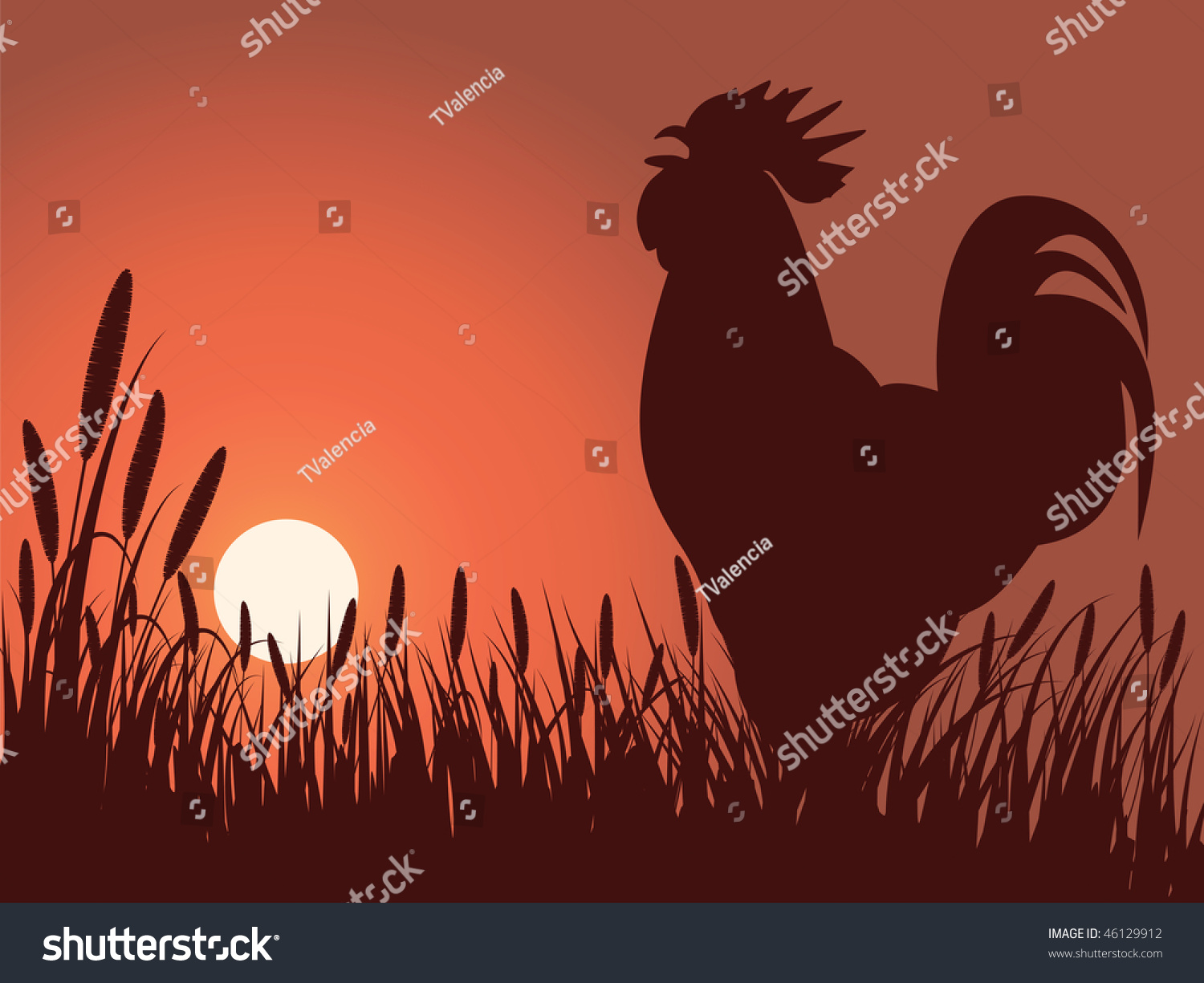 Rooster Greeting Sunrise On A Lawn, Vector Version Is Also Available ...