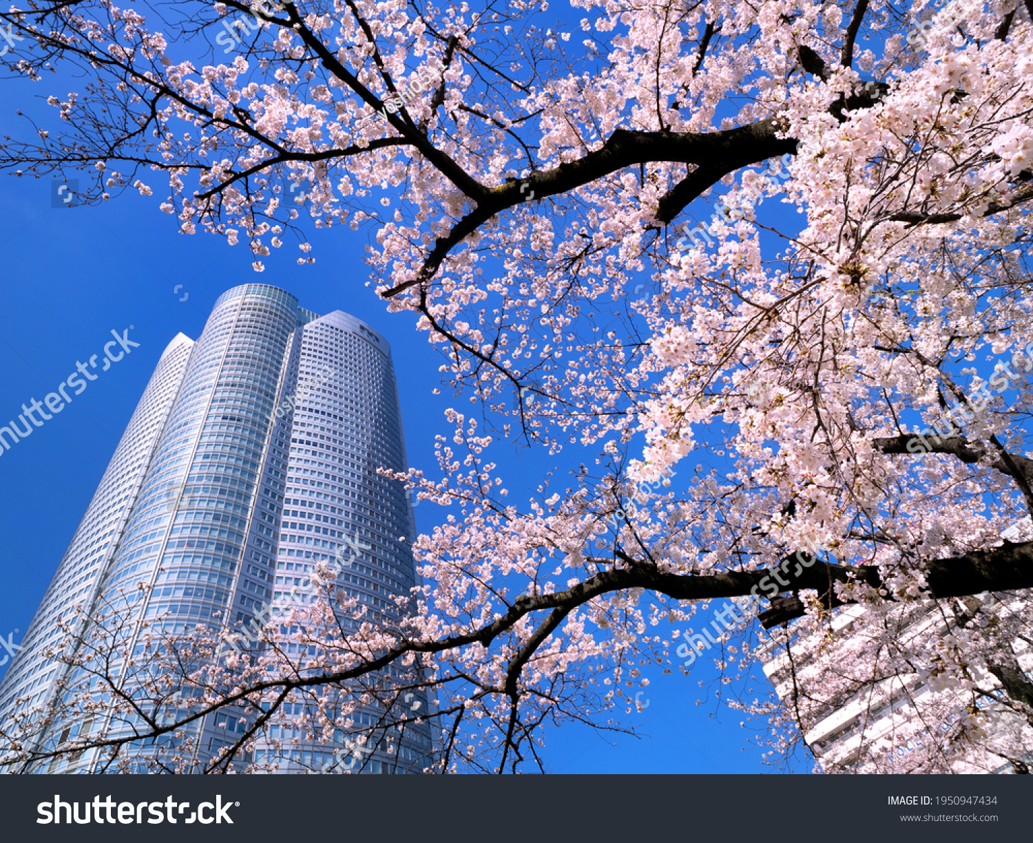 六本木ヒルズ Images Stock Photos Vectors Shutterstock