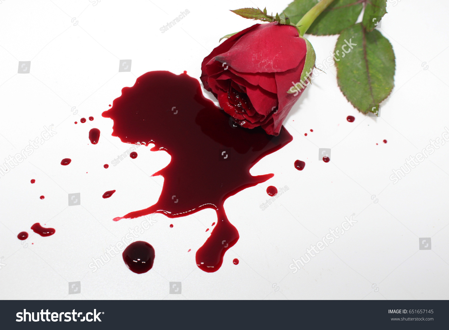 Rose Blood Splashed On White Background Stock Photo Edit Now