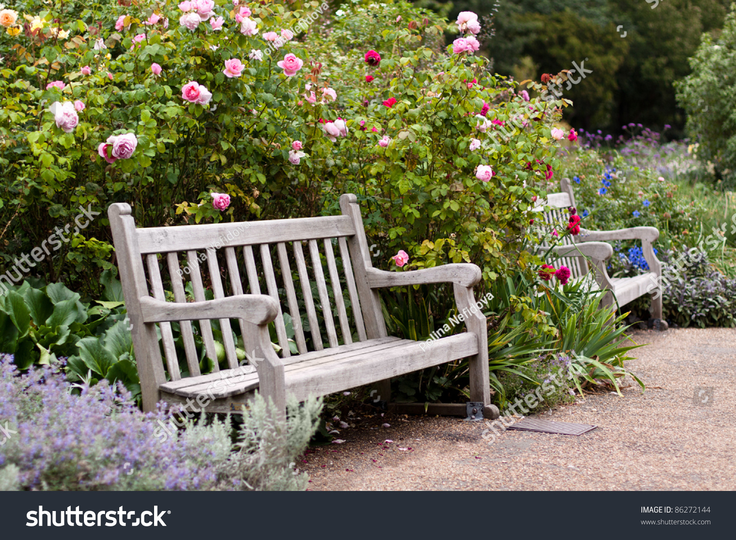Rose Garden Park Empty Wooden Bench Nature Parks Outdoor Stock